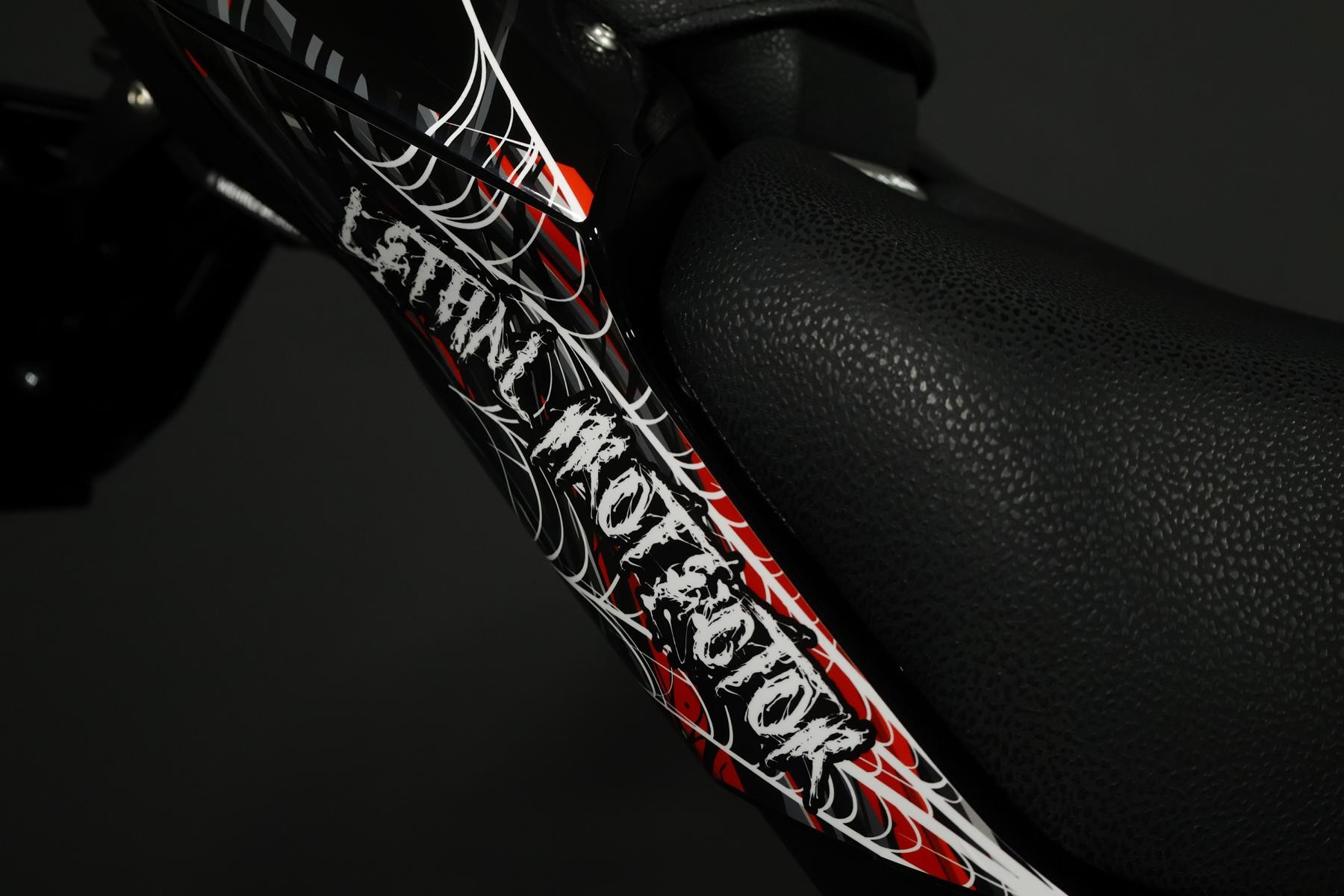 KAWASAKI KAWASAKI Z 900 (91 KW) *Venom* Level 3-image-12