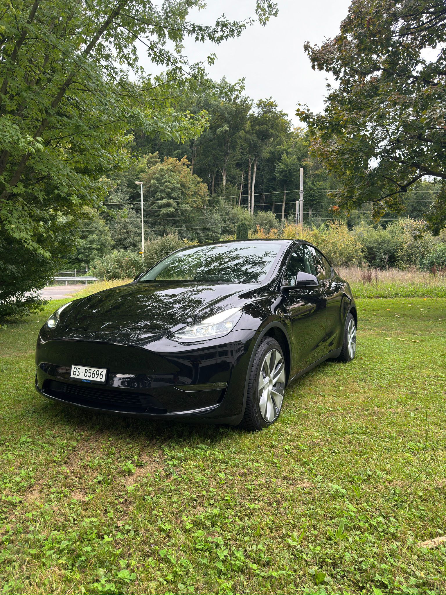 TESLA MODEL Y-image-1
