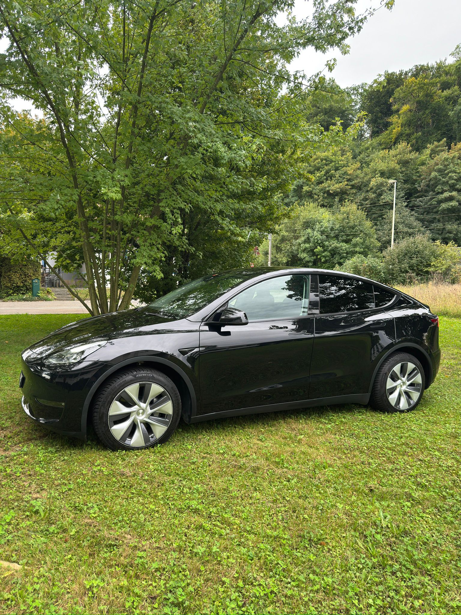 TESLA MODEL Y-image-0