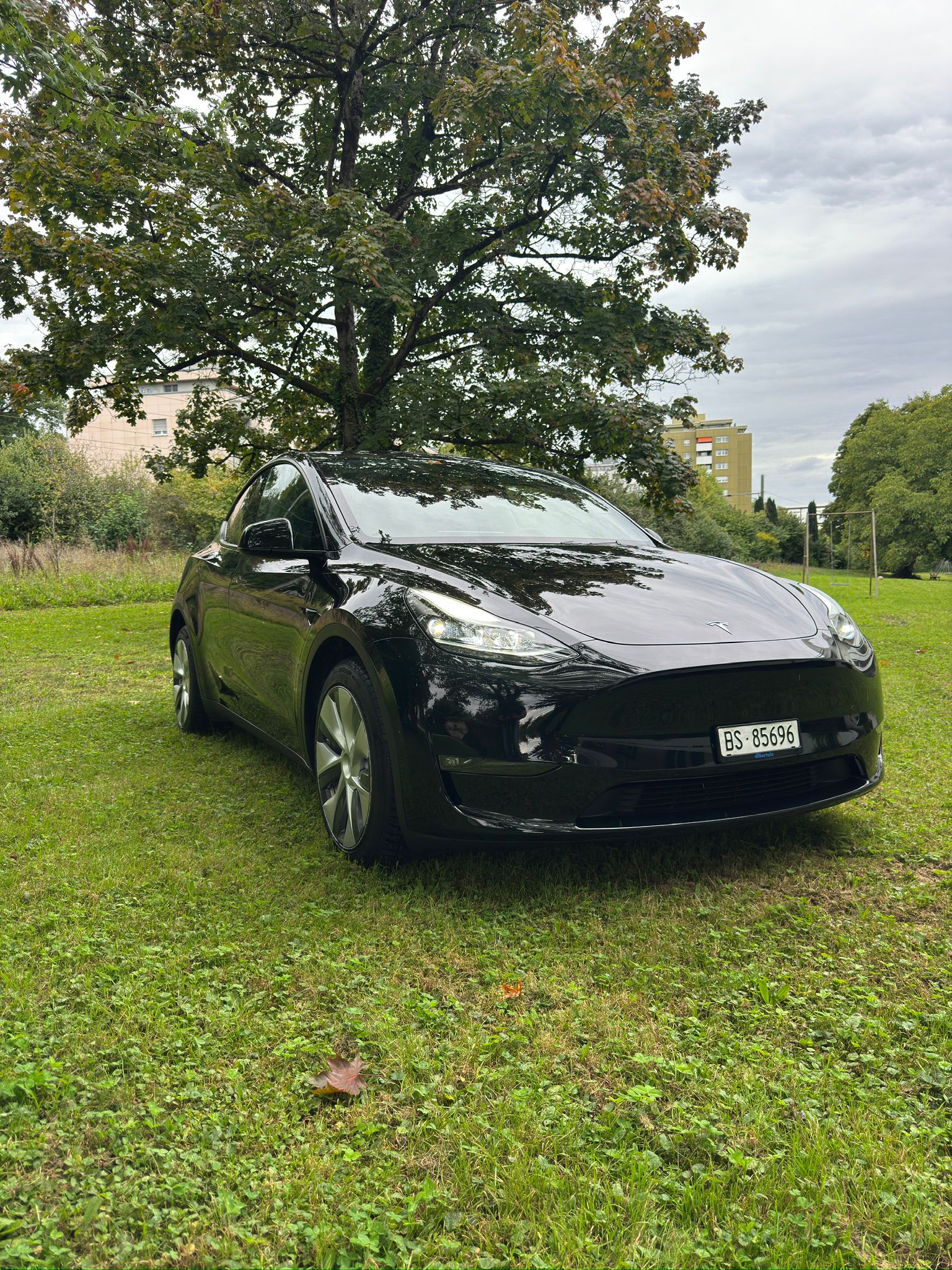 TESLA MODEL Y-image-5