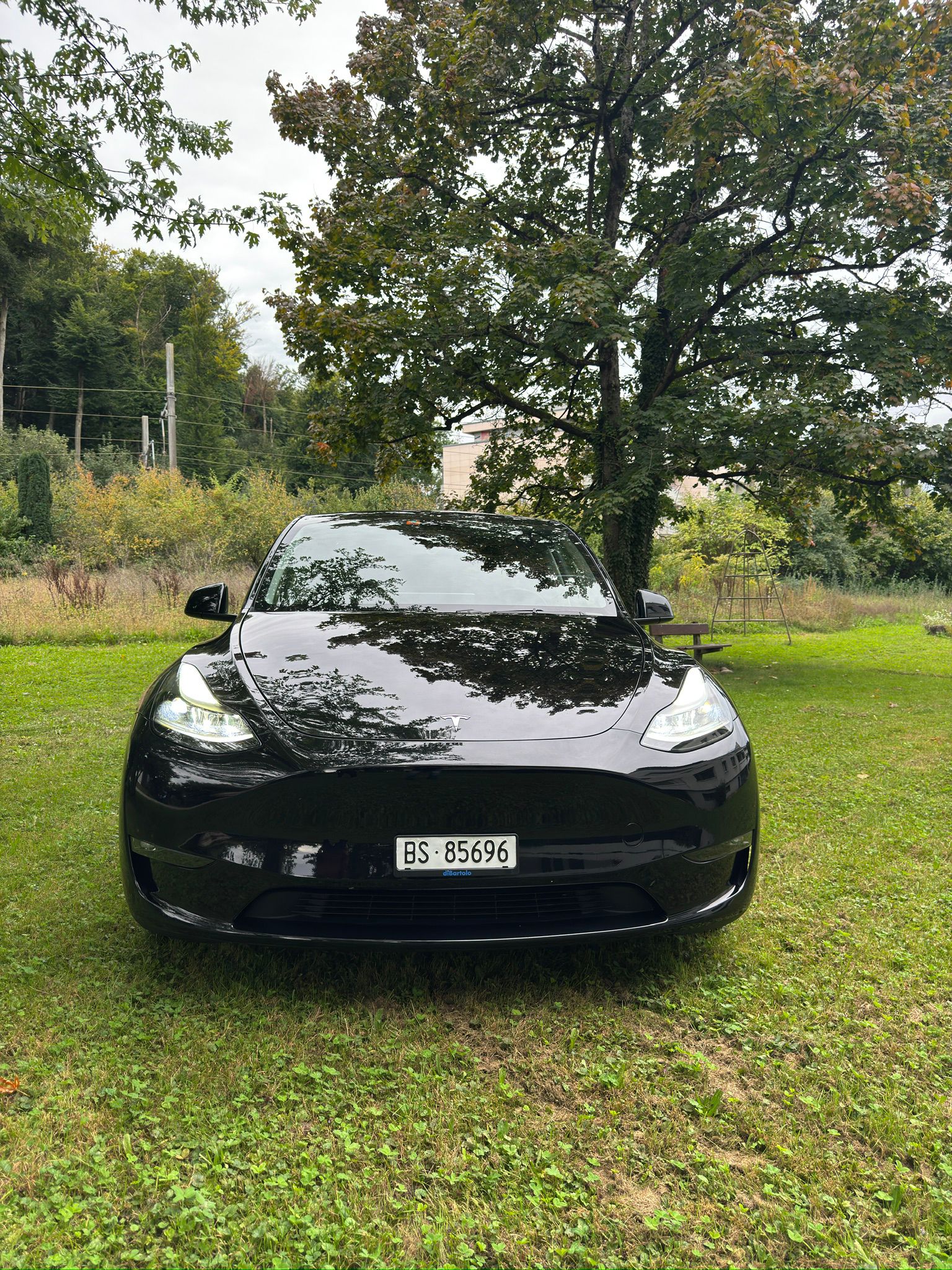 TESLA MODEL Y-image-2