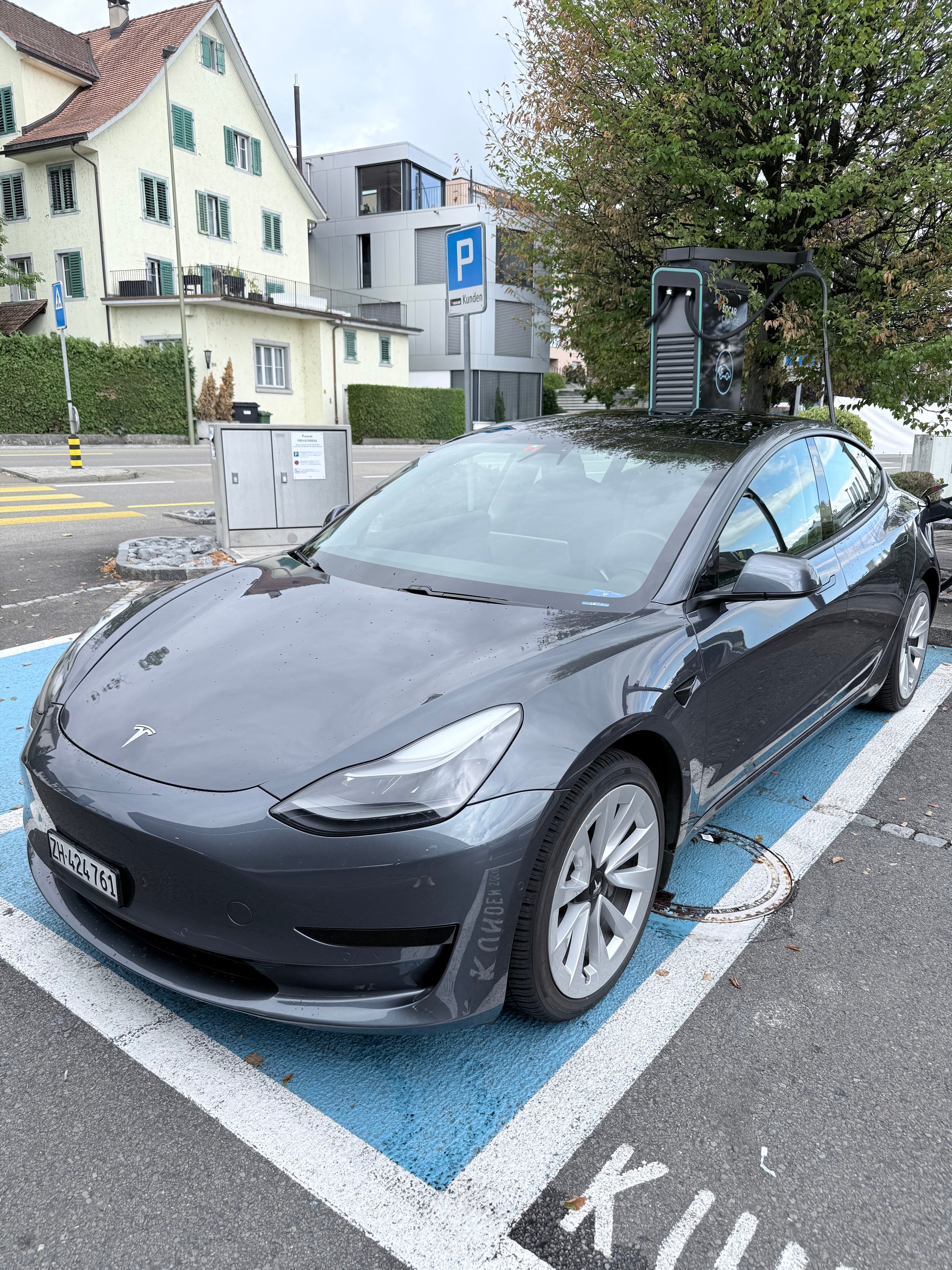 TESLA Standart Range Plus-image-2
