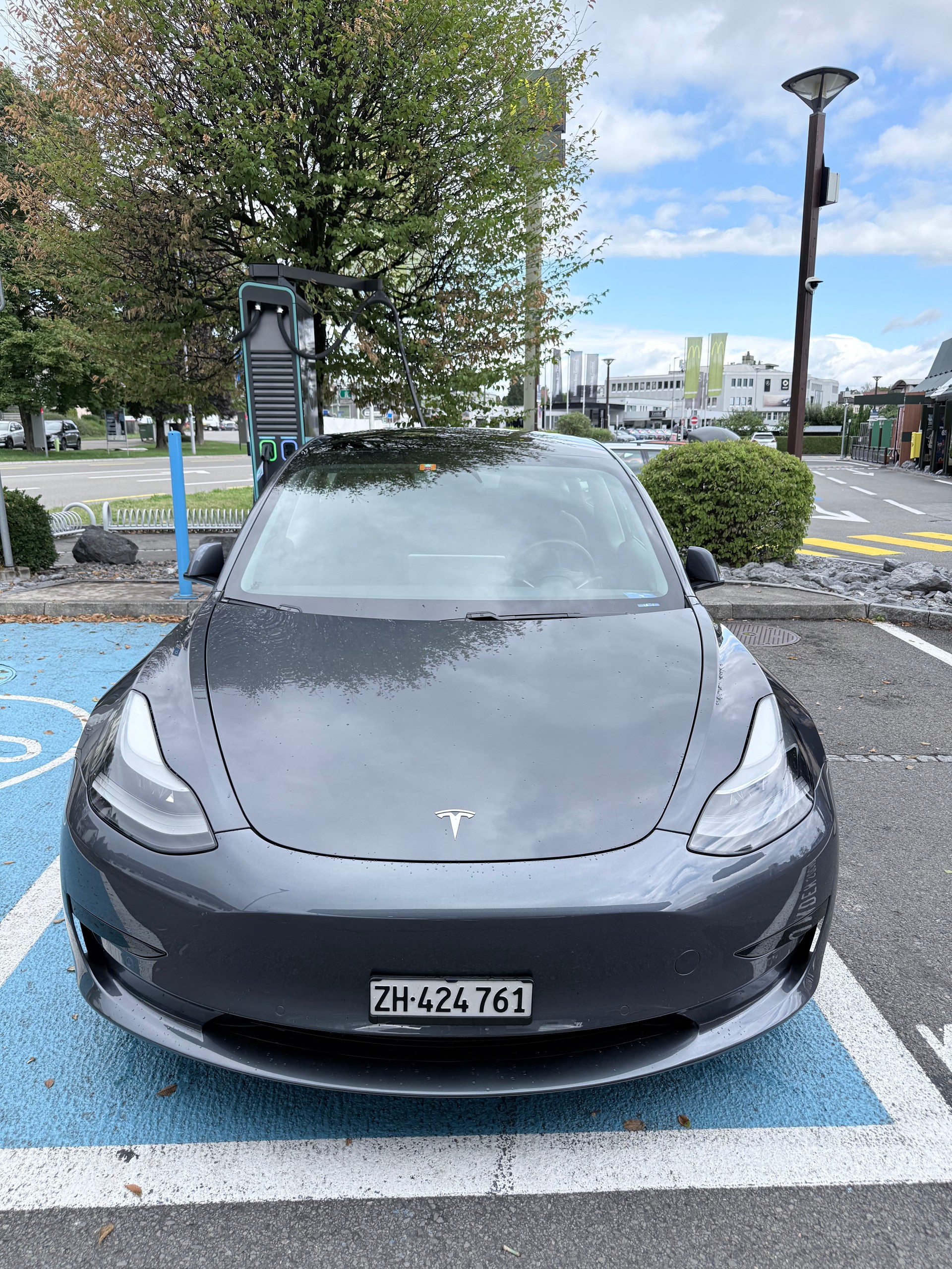 TESLA Standart Range Plus-image-0