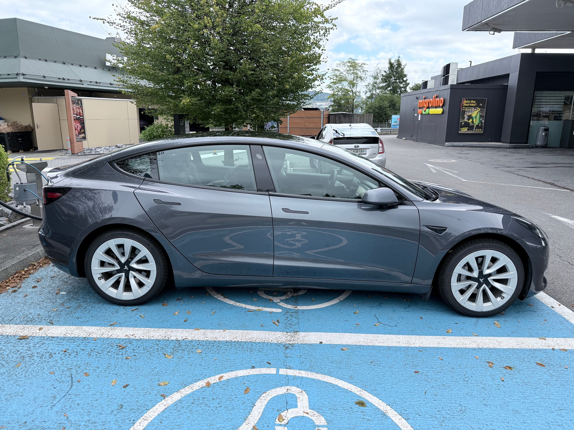 TESLA Standart Range Plus-image-7