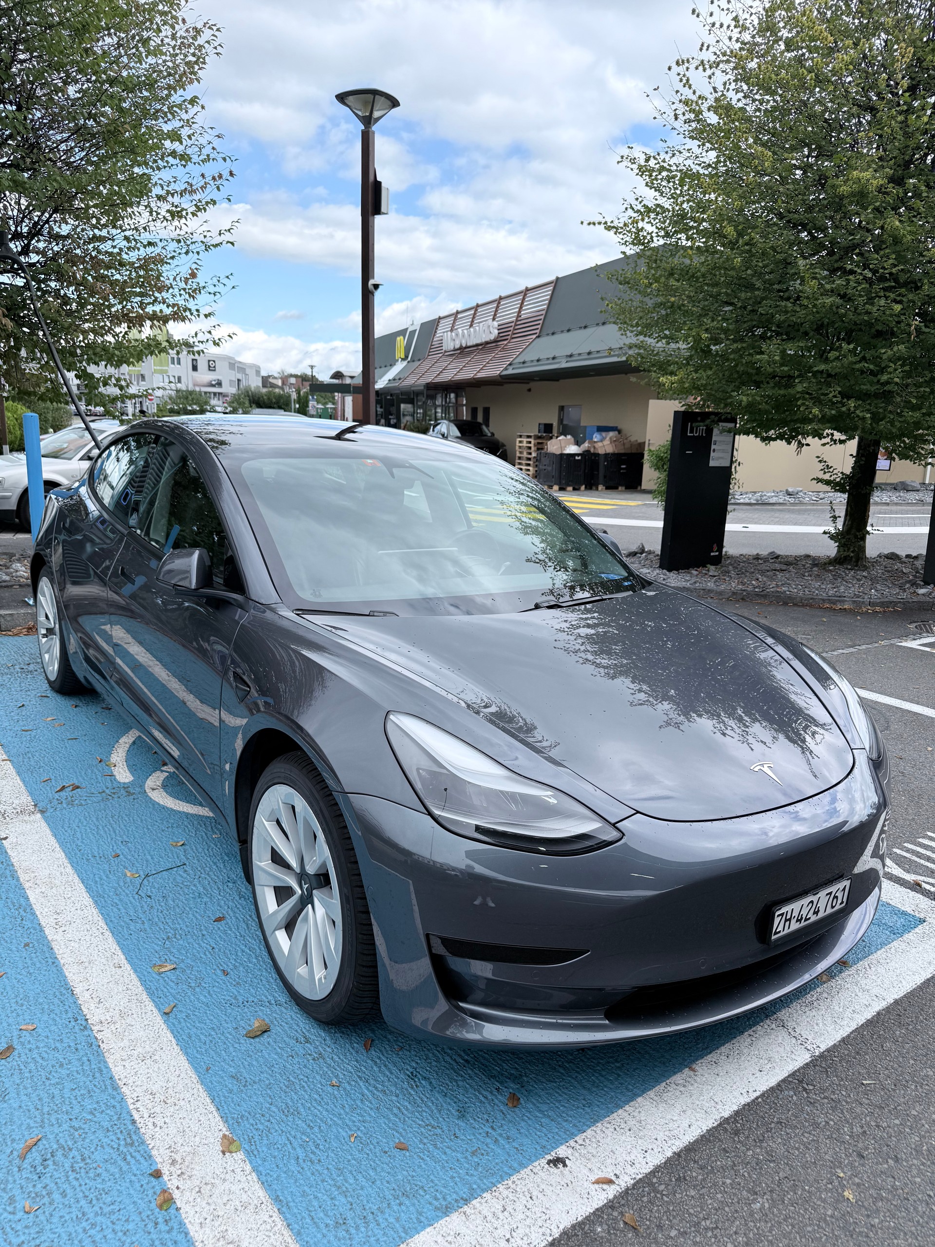 TESLA Standart Range Plus-image-1