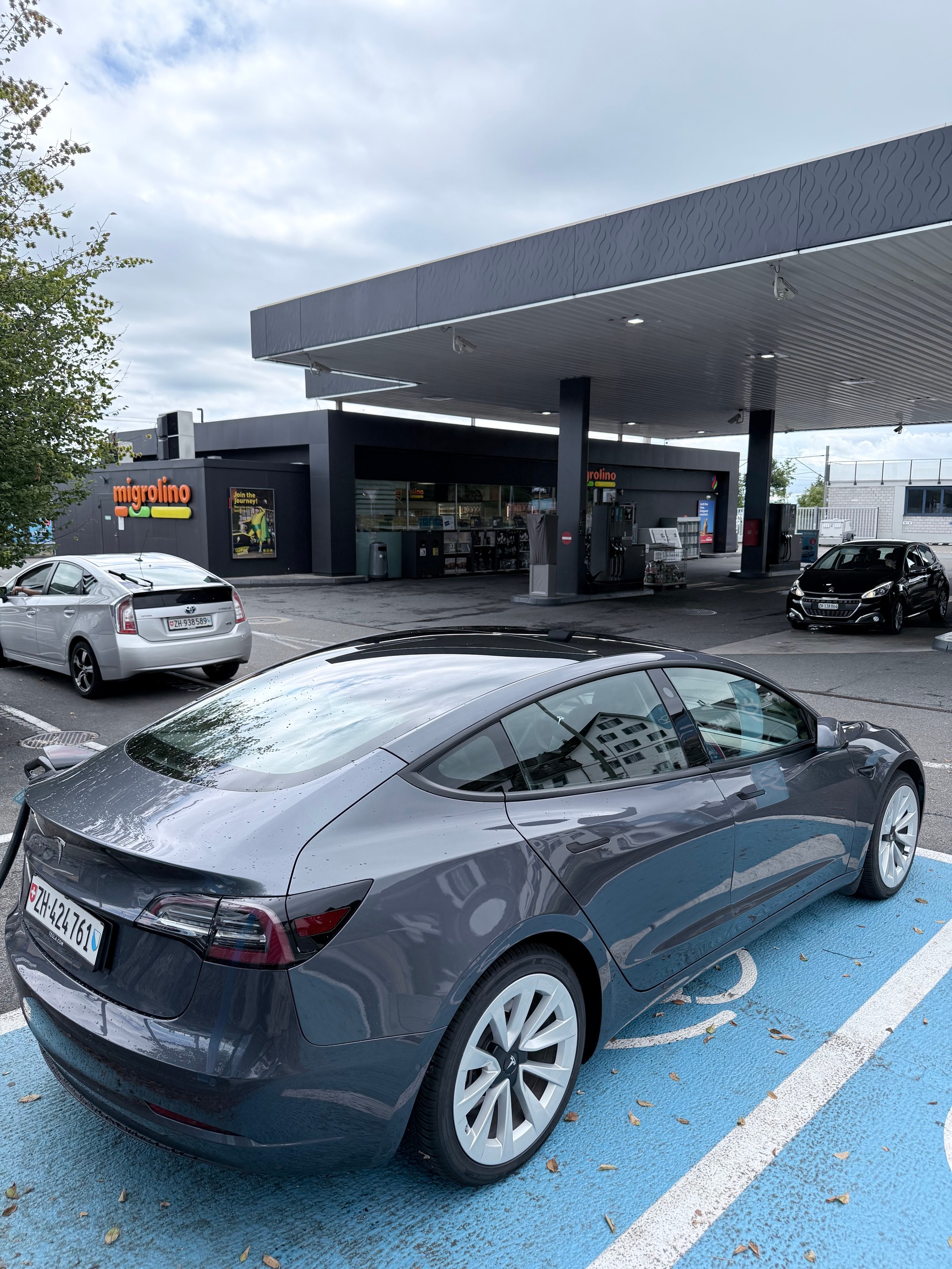 TESLA Standart Range Plus-image-4
