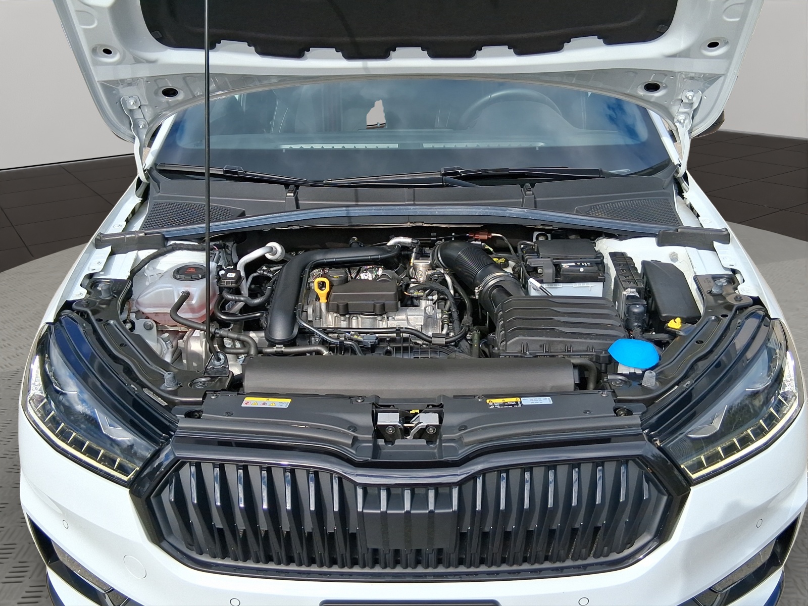 SKODA Fabia 1.0 TSI Monte Carlo DSG-image-19