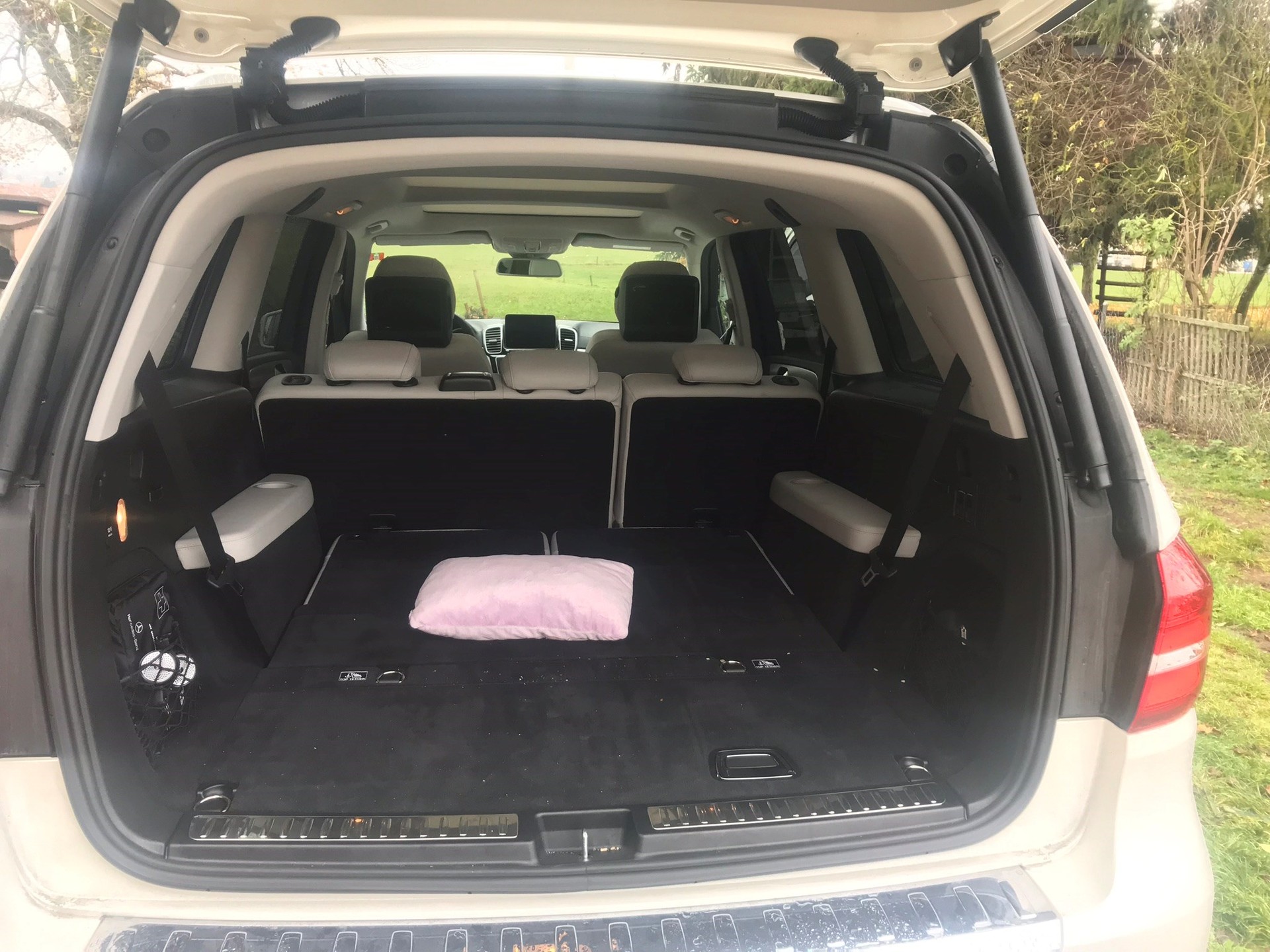 MERCEDES-BENZ 350 GLS-image-4