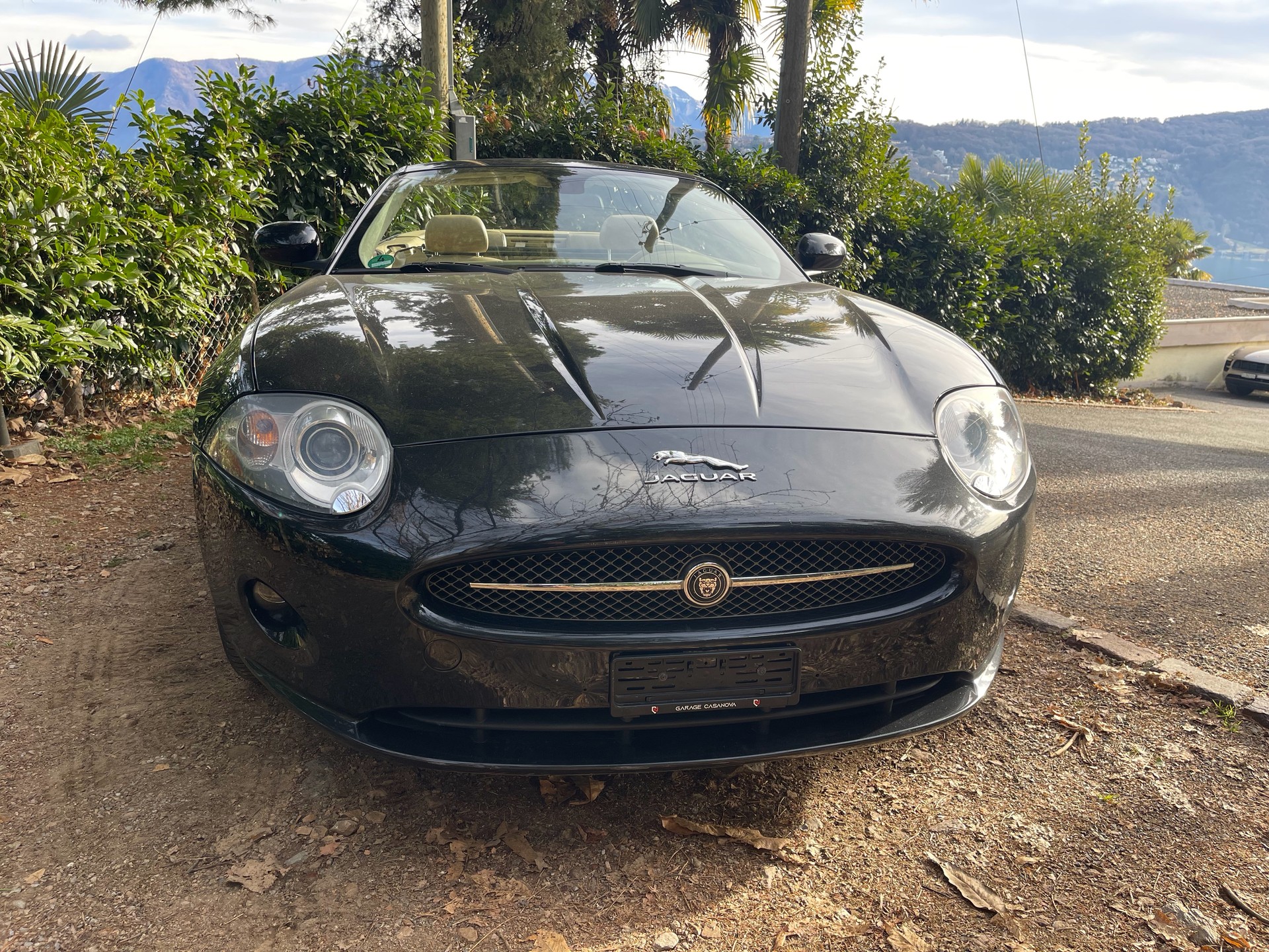 JAGUAR XK 3.5 V8 Automatic EDITION-image-3