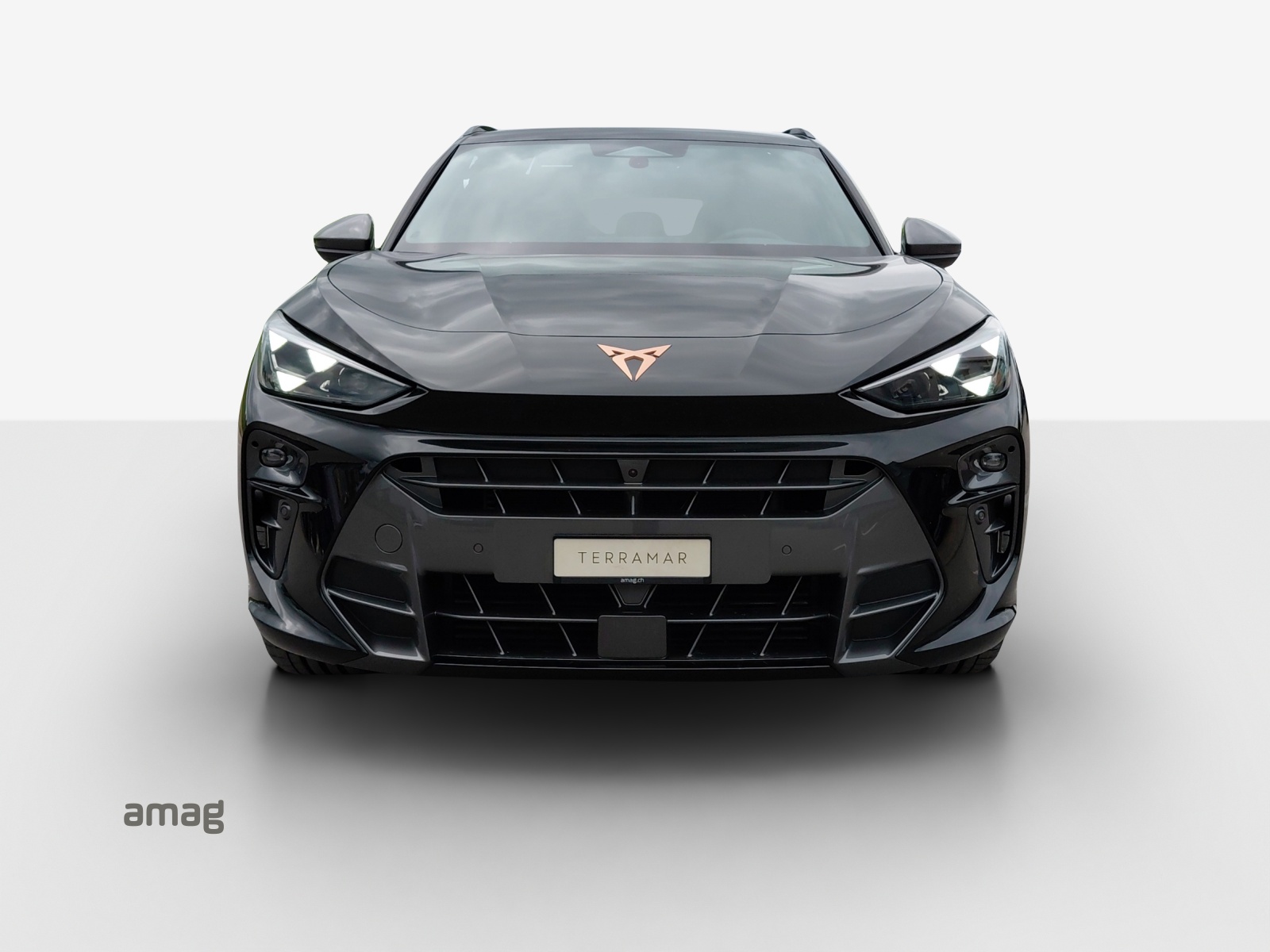 CUPRA Terramar 2.0 TSI DSG Prime Edition VZ 4Drive-image-6