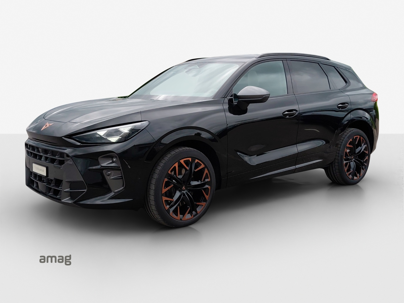 CUPRA Terramar 2.0 TSI DSG Prime Edition VZ 4Drive-image-0