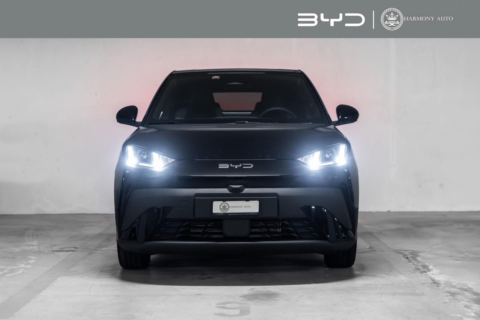 BYD Dolphin Surf Boost-image-0