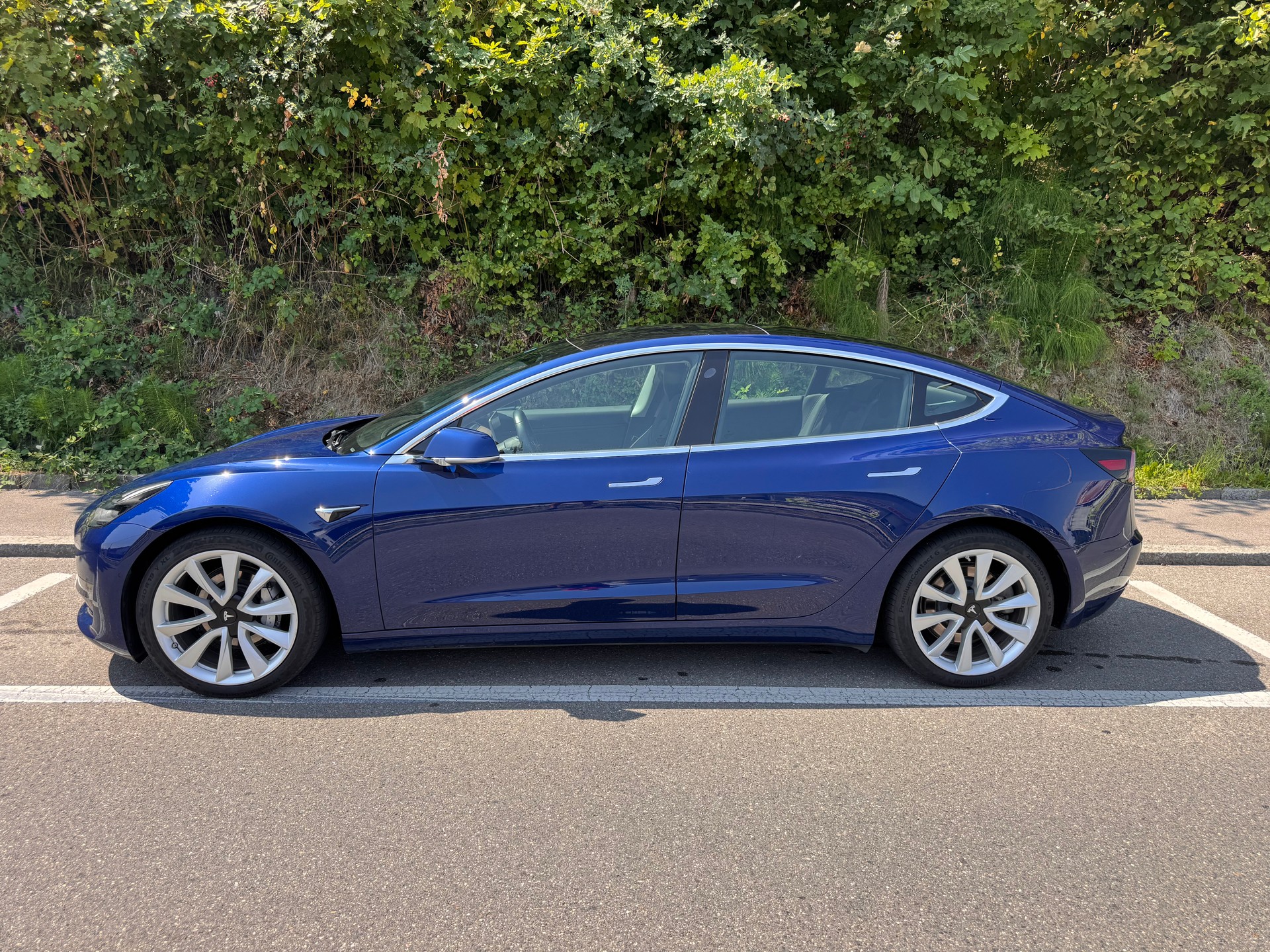 TESLA Long Range Dual Motor-image-1