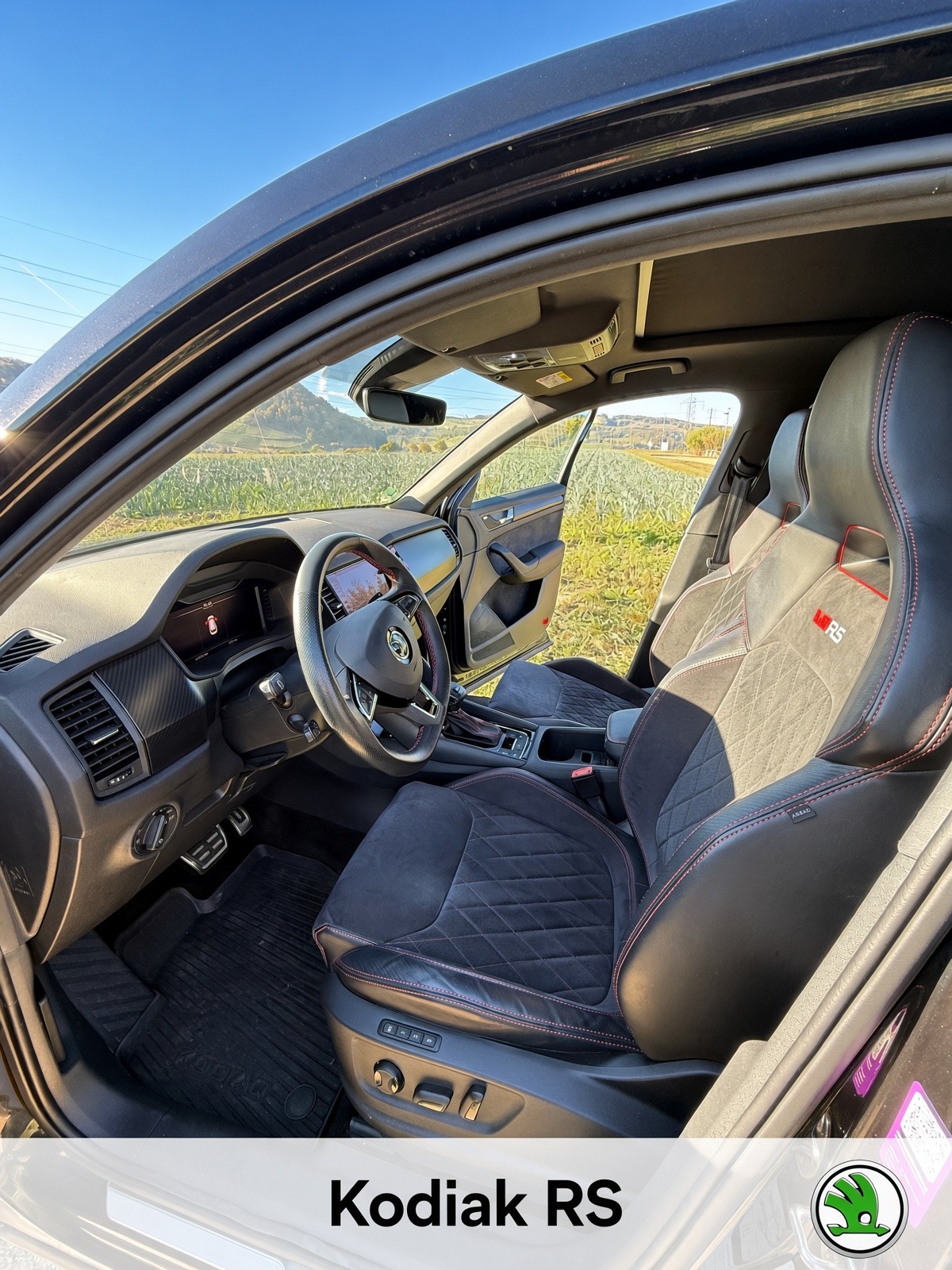 SKODA 2.0 Bi-TDI 240 RS DSG-image-7