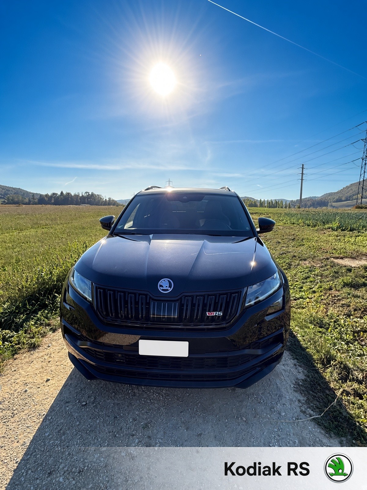 SKODA 2.0 Bi-TDI 240 RS DSG-image-2