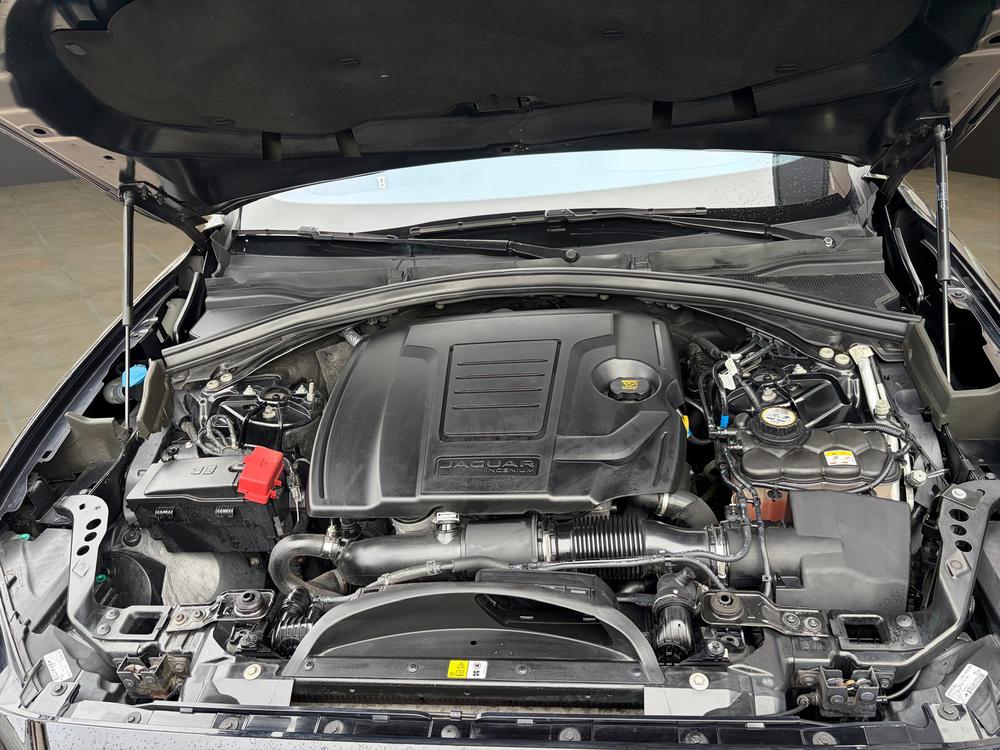 JAGUAR F-Pace 30t 2.0 R-Sport AWD Automatik-image-21