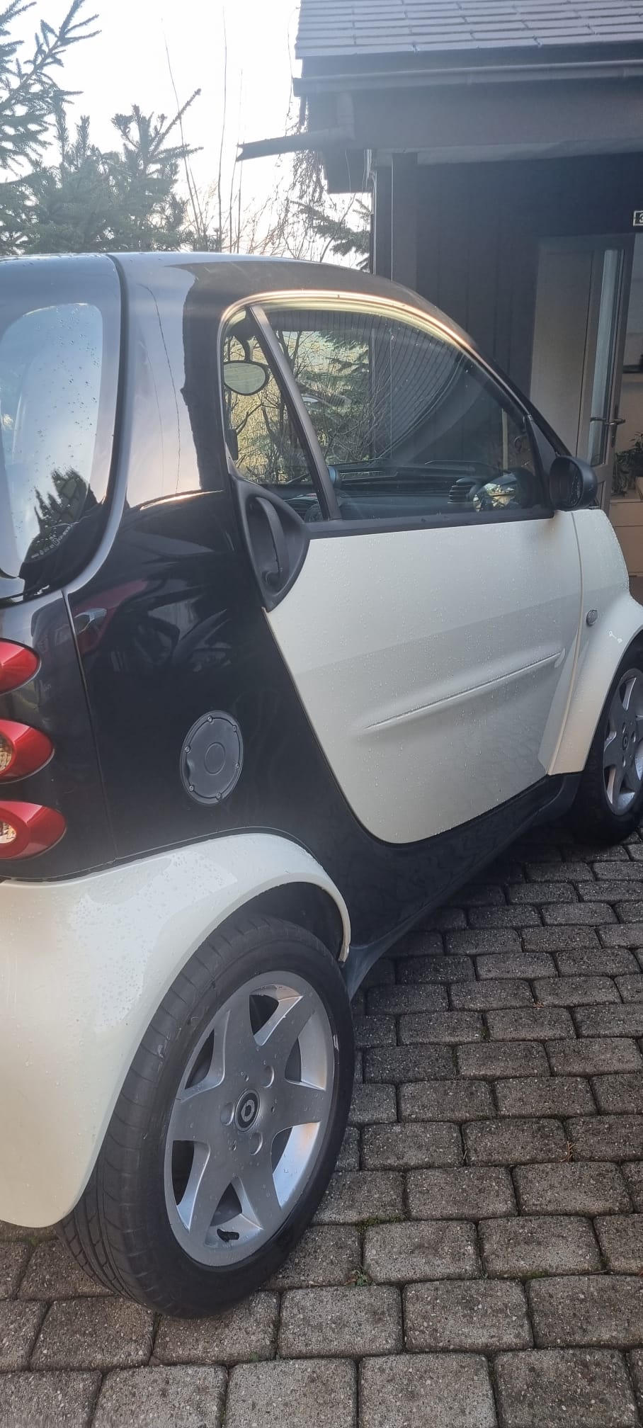 SMART fortwo pulse-image-4