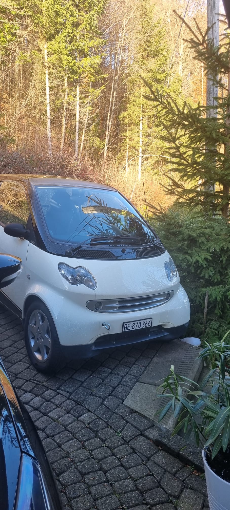 SMART fortwo pulse-image-0