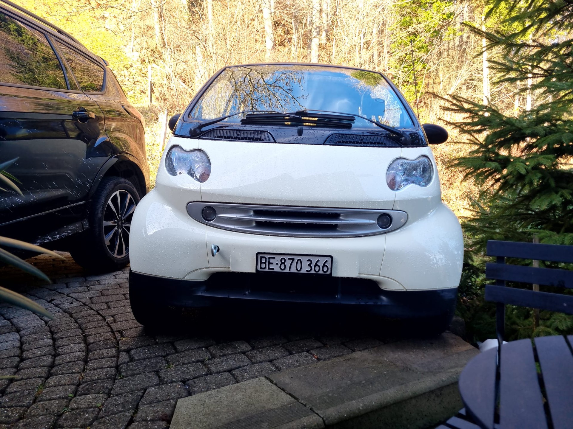 SMART fortwo pulse-image-1
