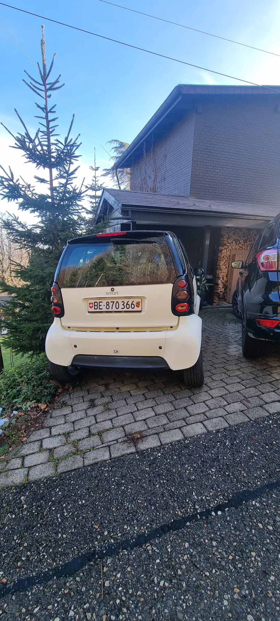 SMART fortwo pulse-image-2