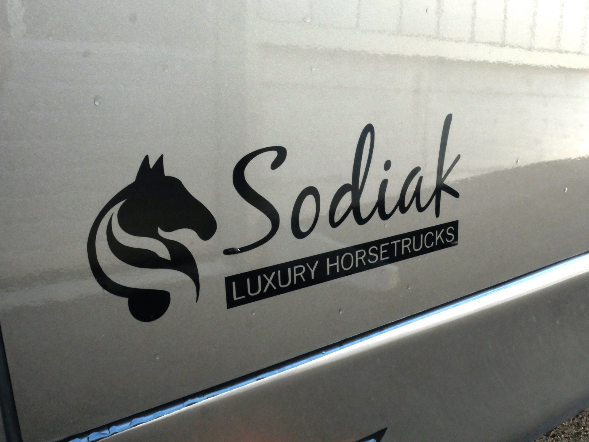 FORD Pferdetransporter Sodiak-image-7