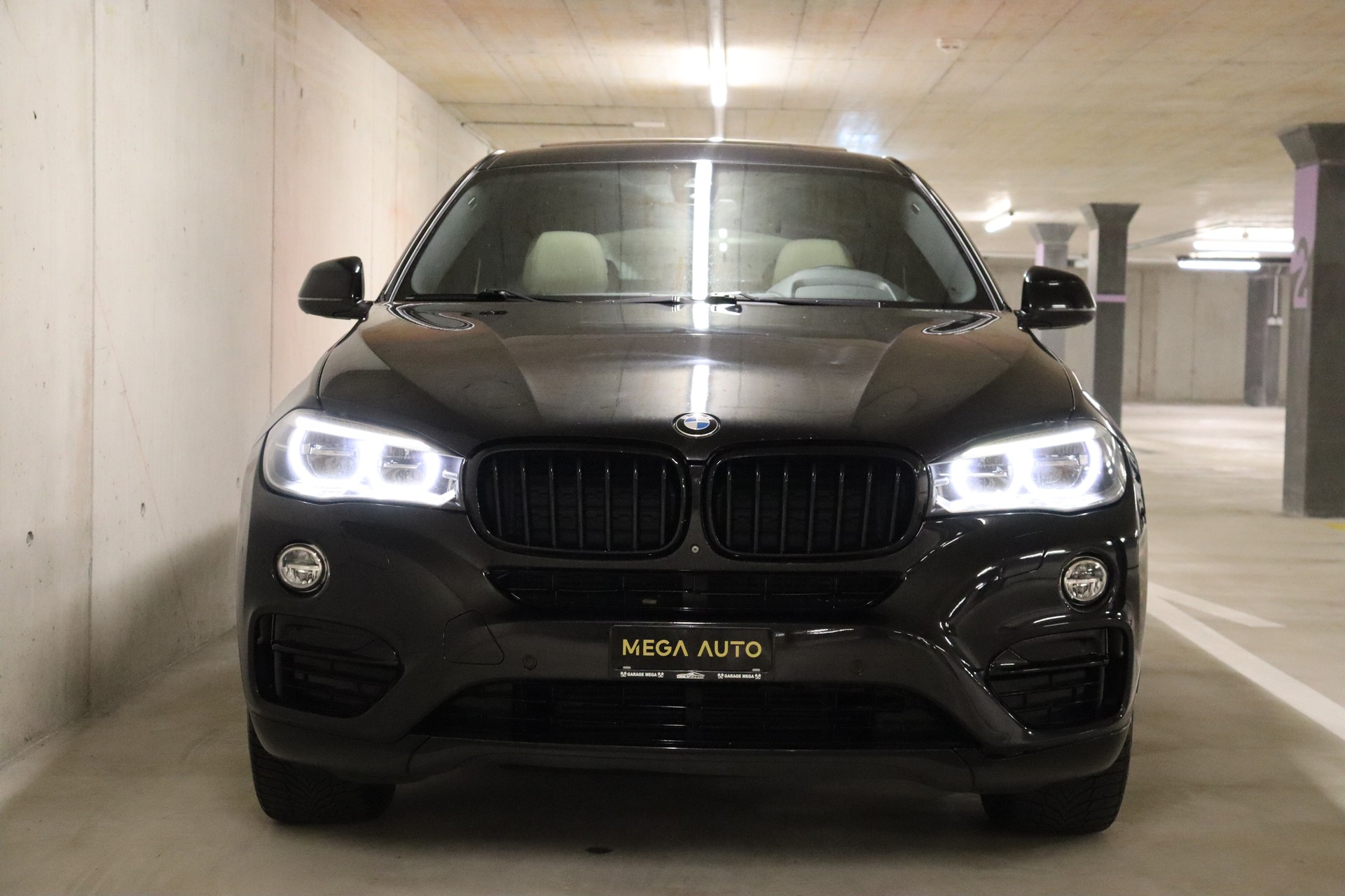 BMW X6 xDrive 30d Steptronic-image-2