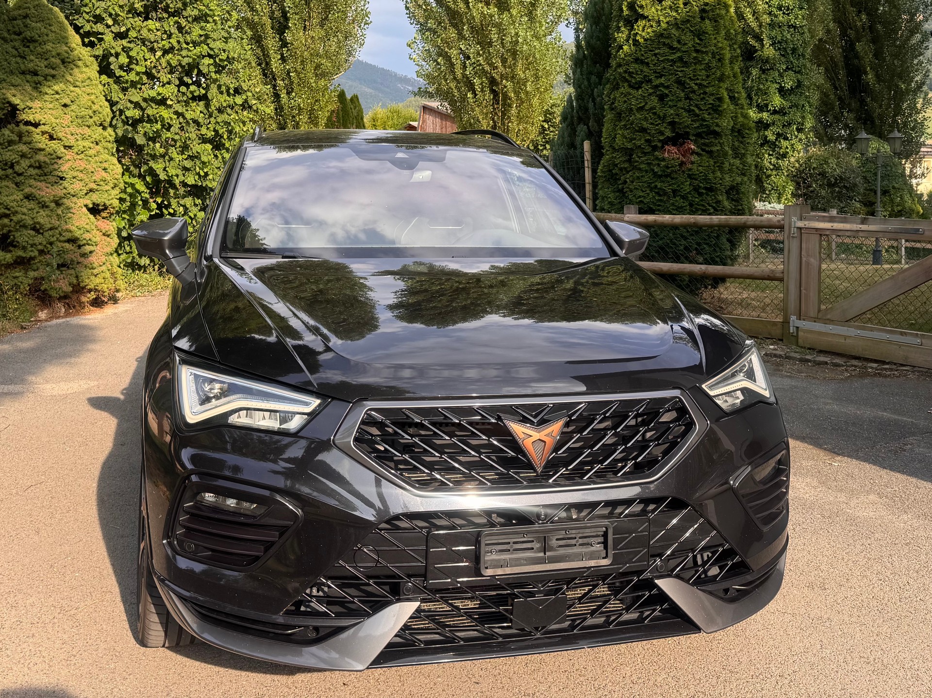 CUPRA 2.0 TSI 4Drive DSG-image-9