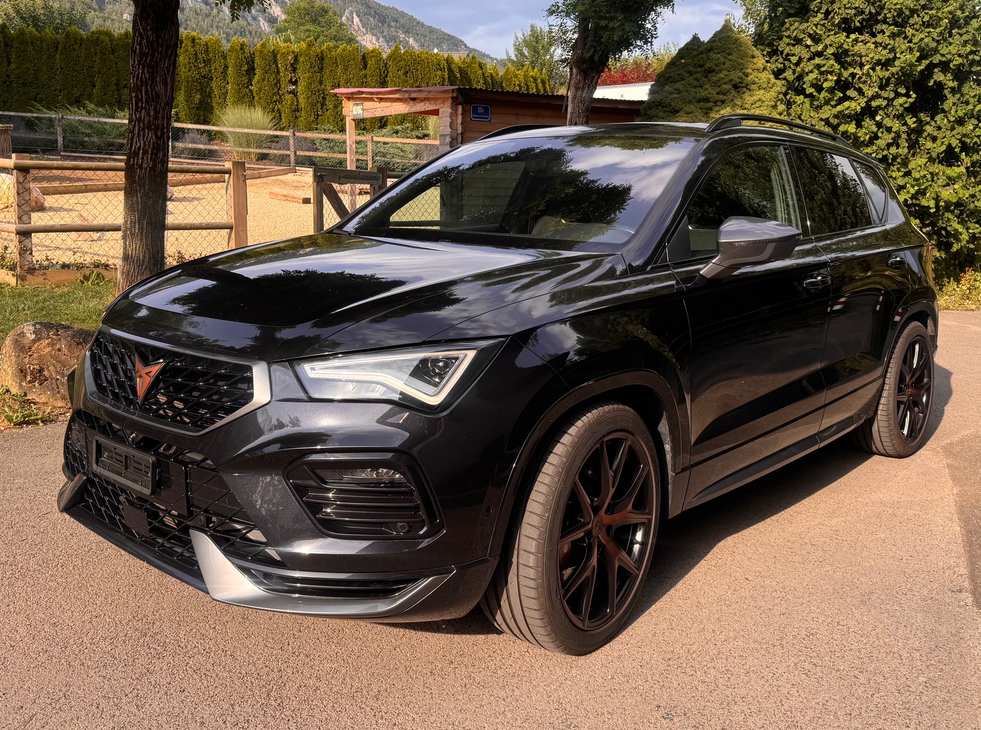 CUPRA 2.0 TSI 4Drive DSG-image-0