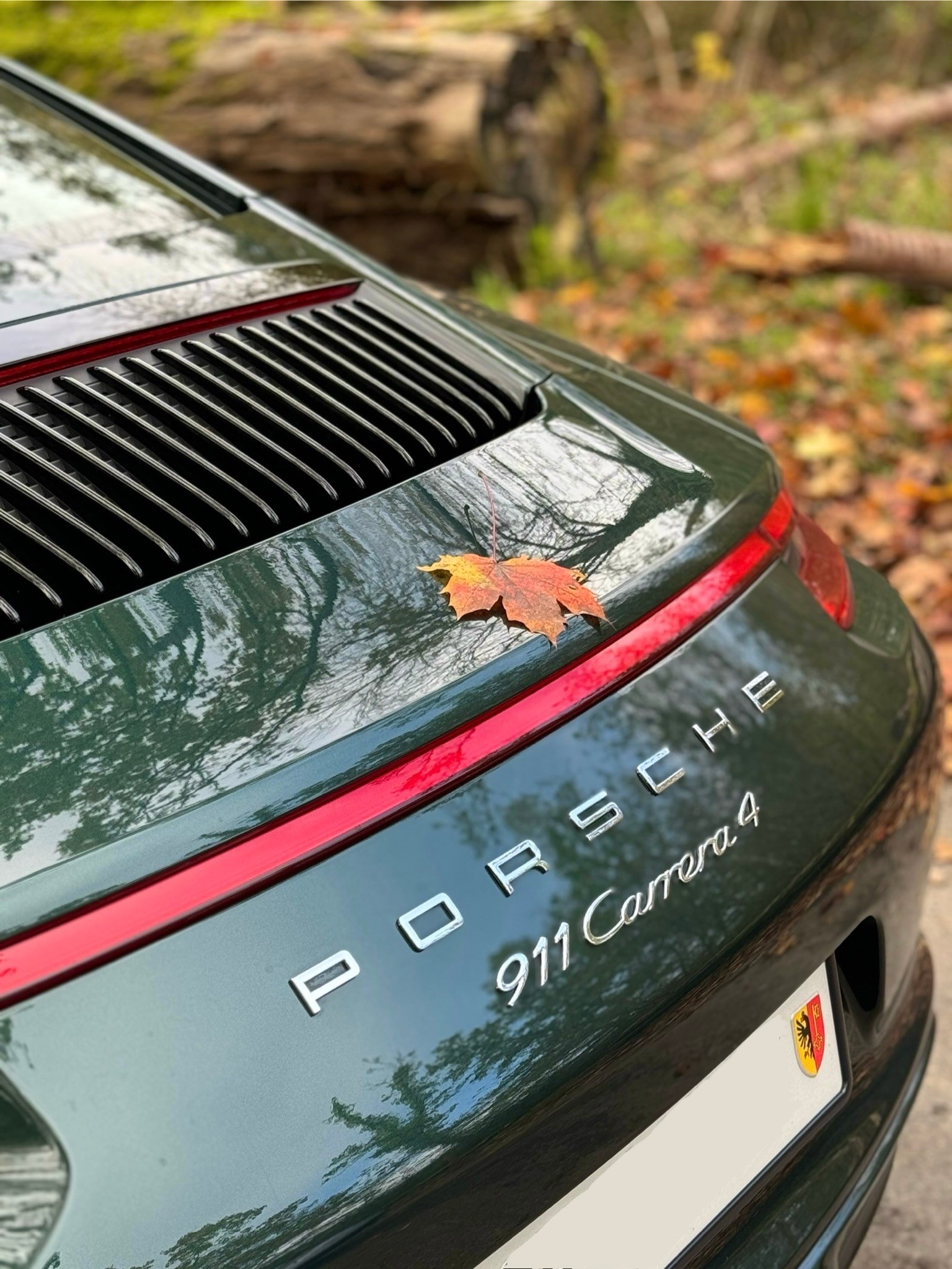 PORSCHE 991.2 Carrera 4 PDK PTS Tannengrün-image-8