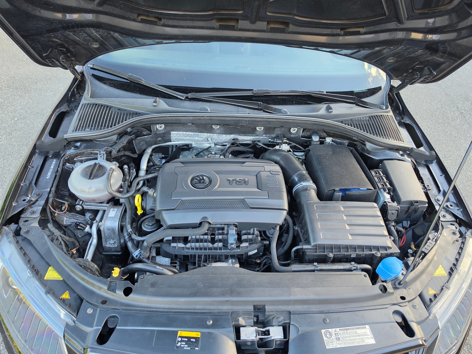 SKODA Octavia Combi 2.0 TSI RS DSG-image-14