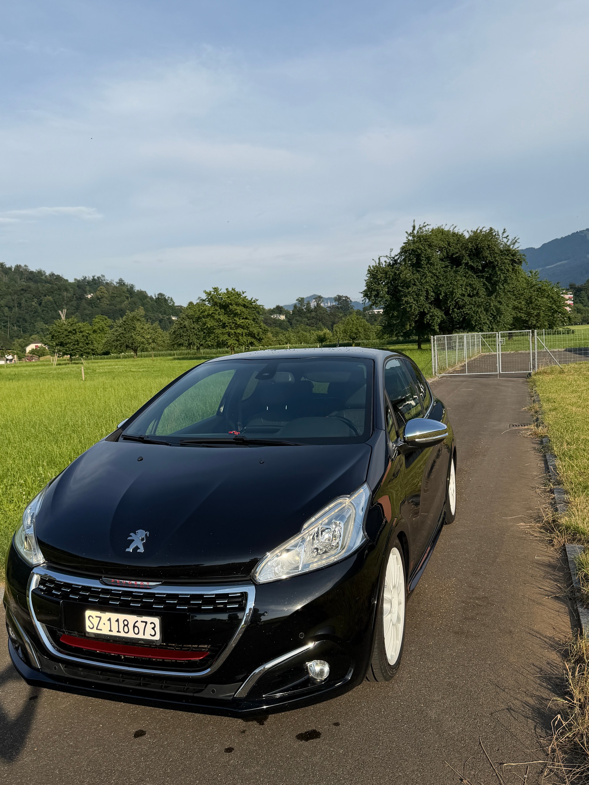 PEUGEOT 1.6 Turbo GTi-image-3