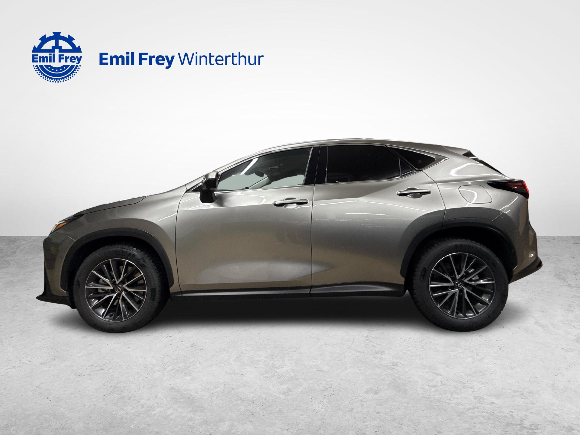 LEXUS NX 450h+ Comfort-showroom-element-1