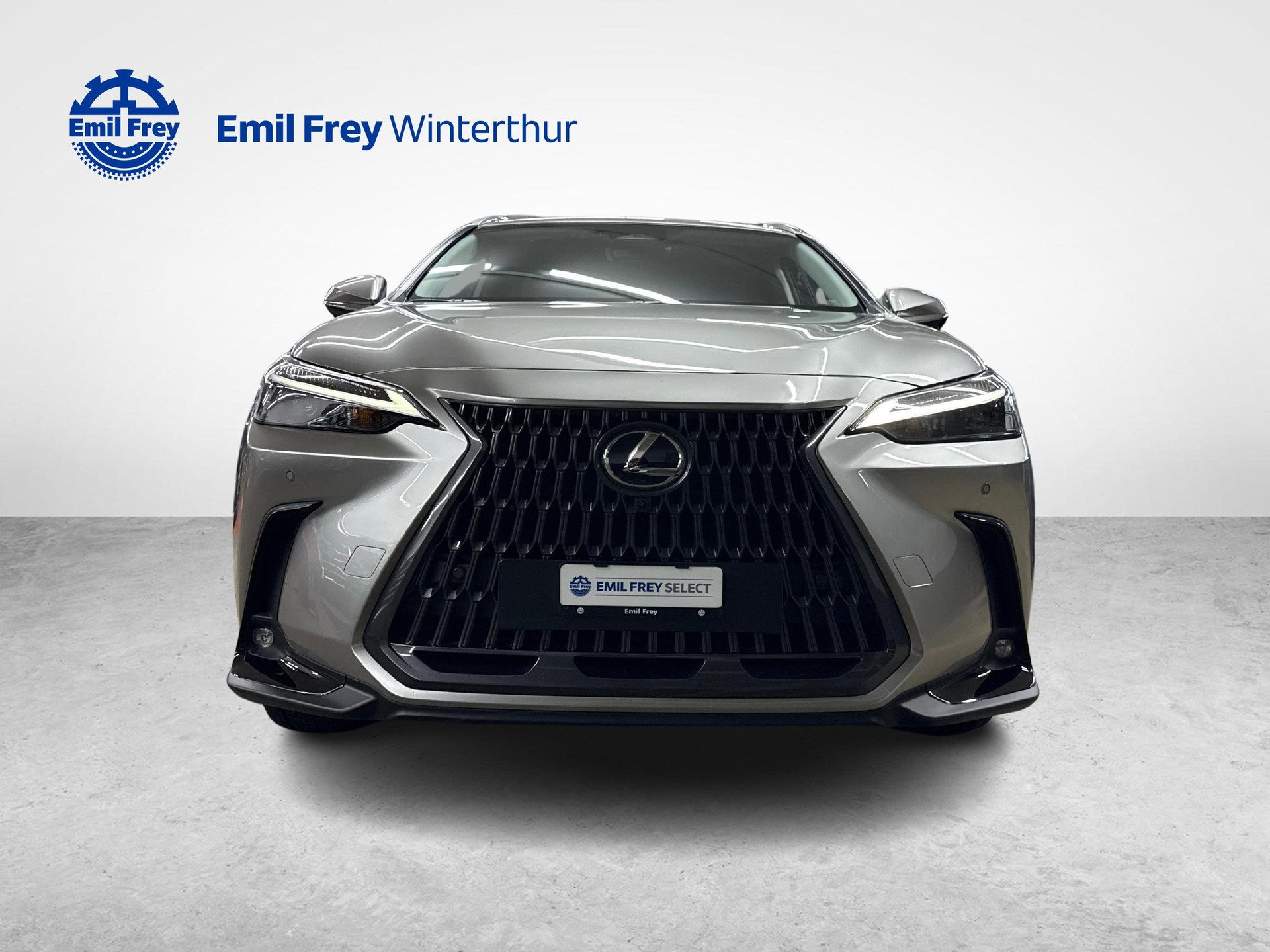 LEXUS NX 450h+ Comfort-image-7