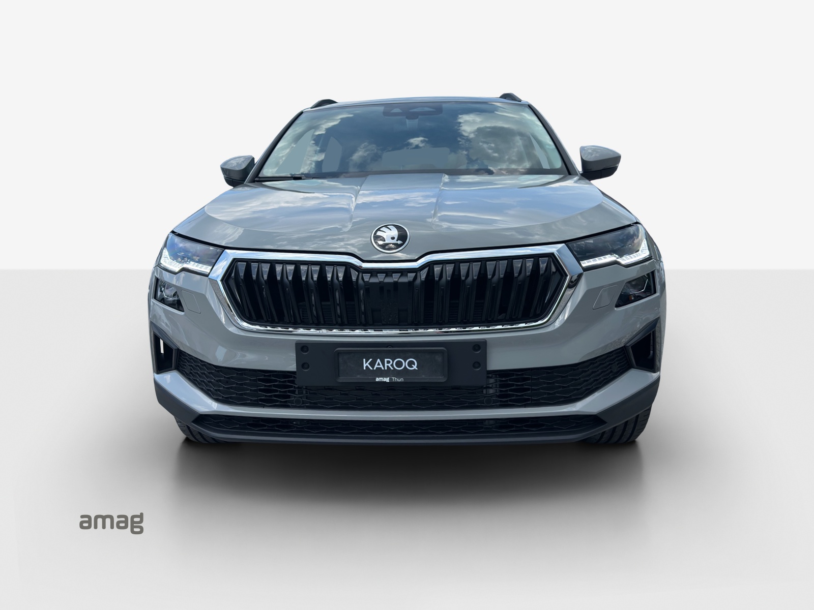 SKODA Karoq 2.0 TDI CR Dynamic 4x4 DSG-image-6
