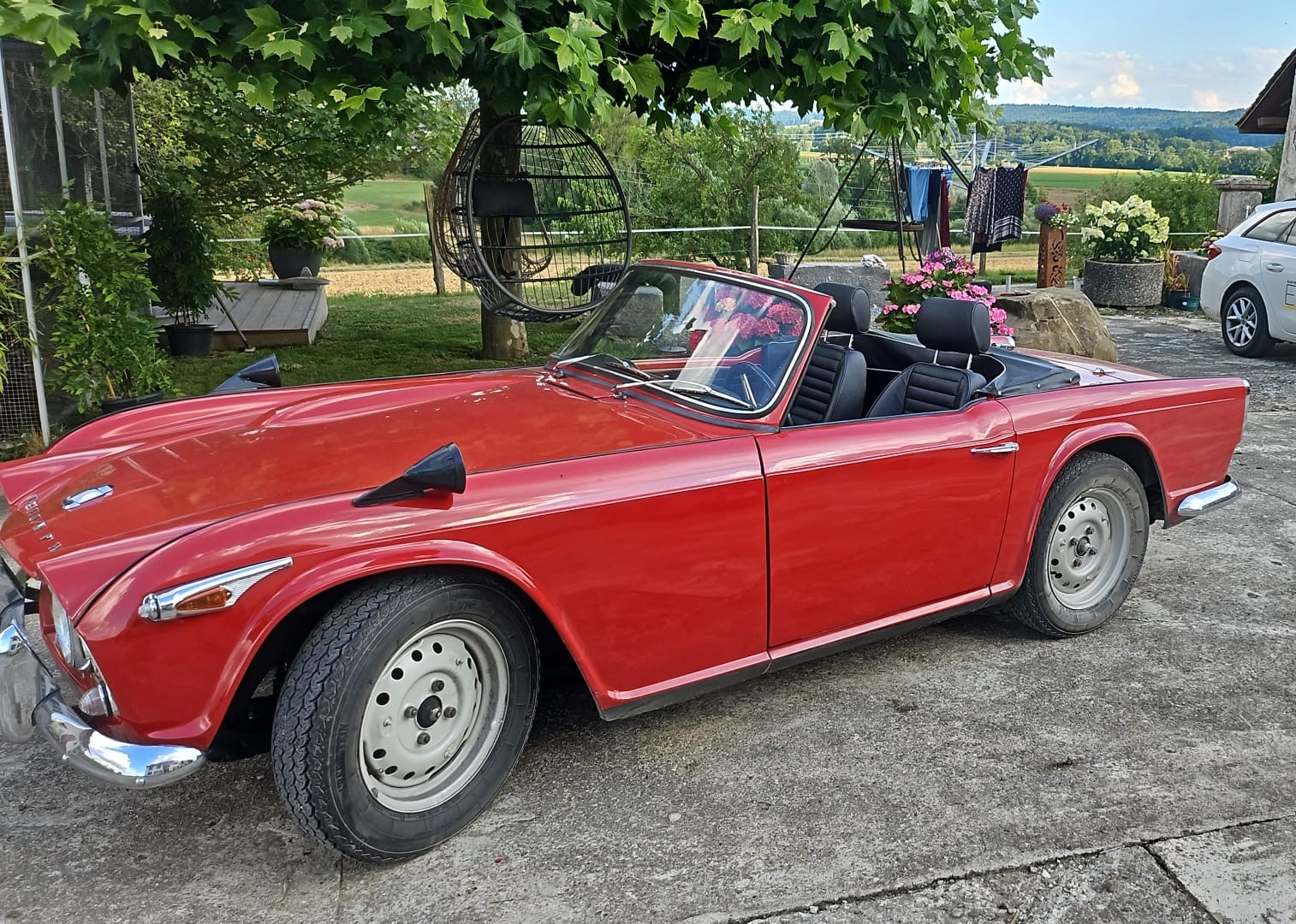 TRIUMPH TR4A-image-3