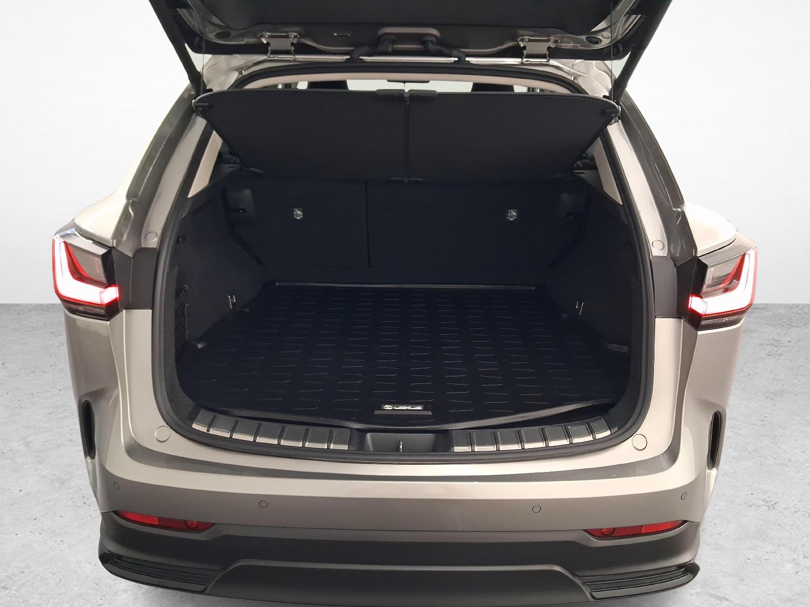 LEXUS NX 450h+ Comfort-image-11