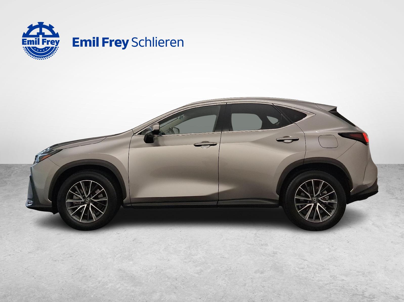 LEXUS NX 450h+ Comfort-showroom-element-1