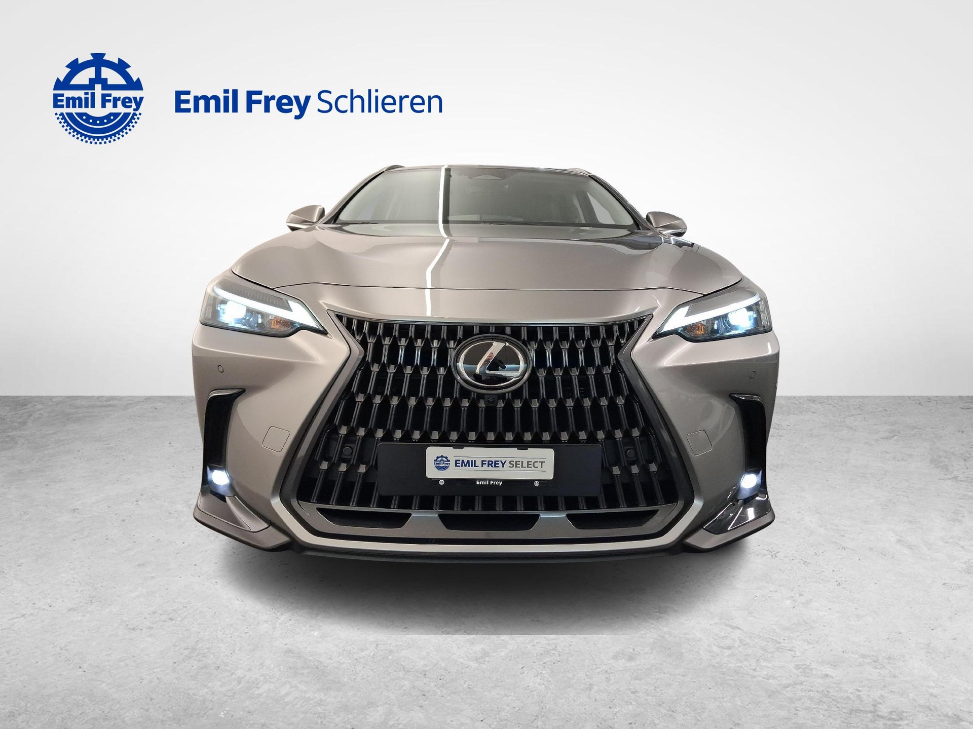 LEXUS NX 450h+ Comfort-image-7