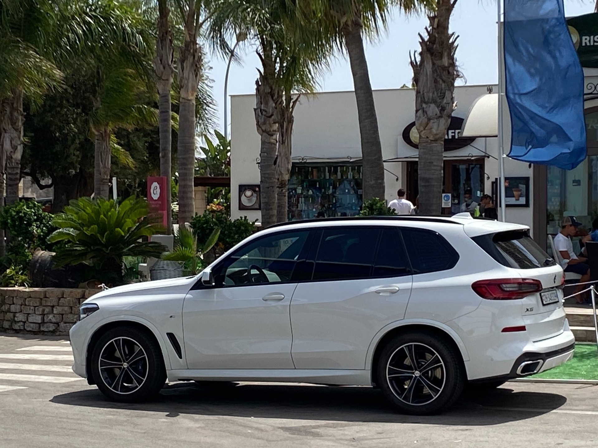 BMW X5 xDrive 30d xLine Steptronic-image-12