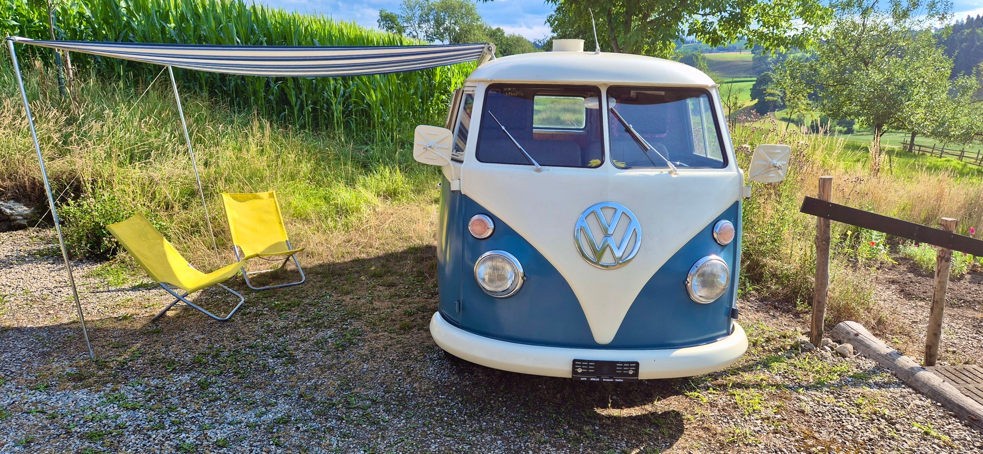VW T1-image-0
