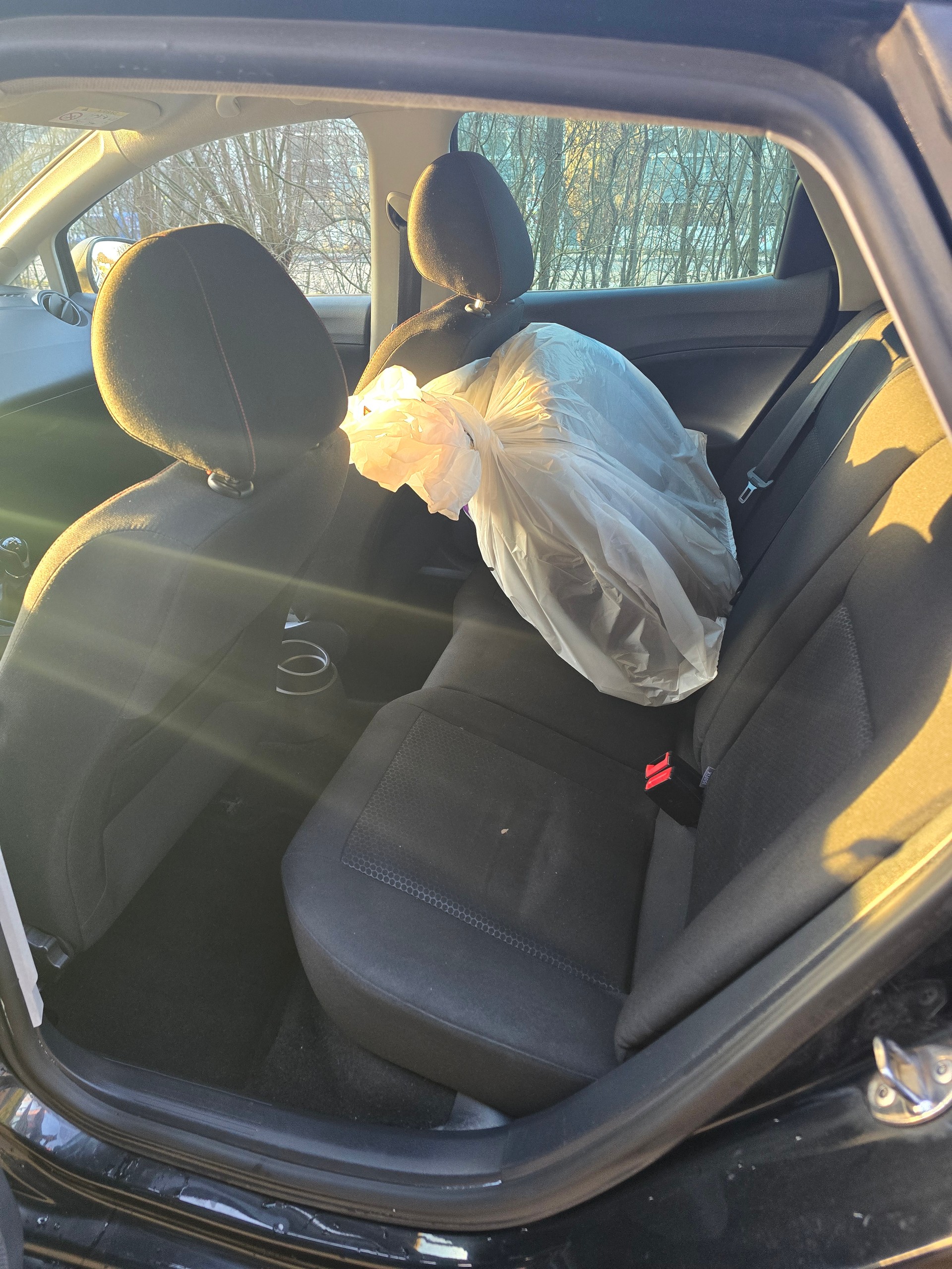SEAT Ibiza 1.2 TSI FR-image-8