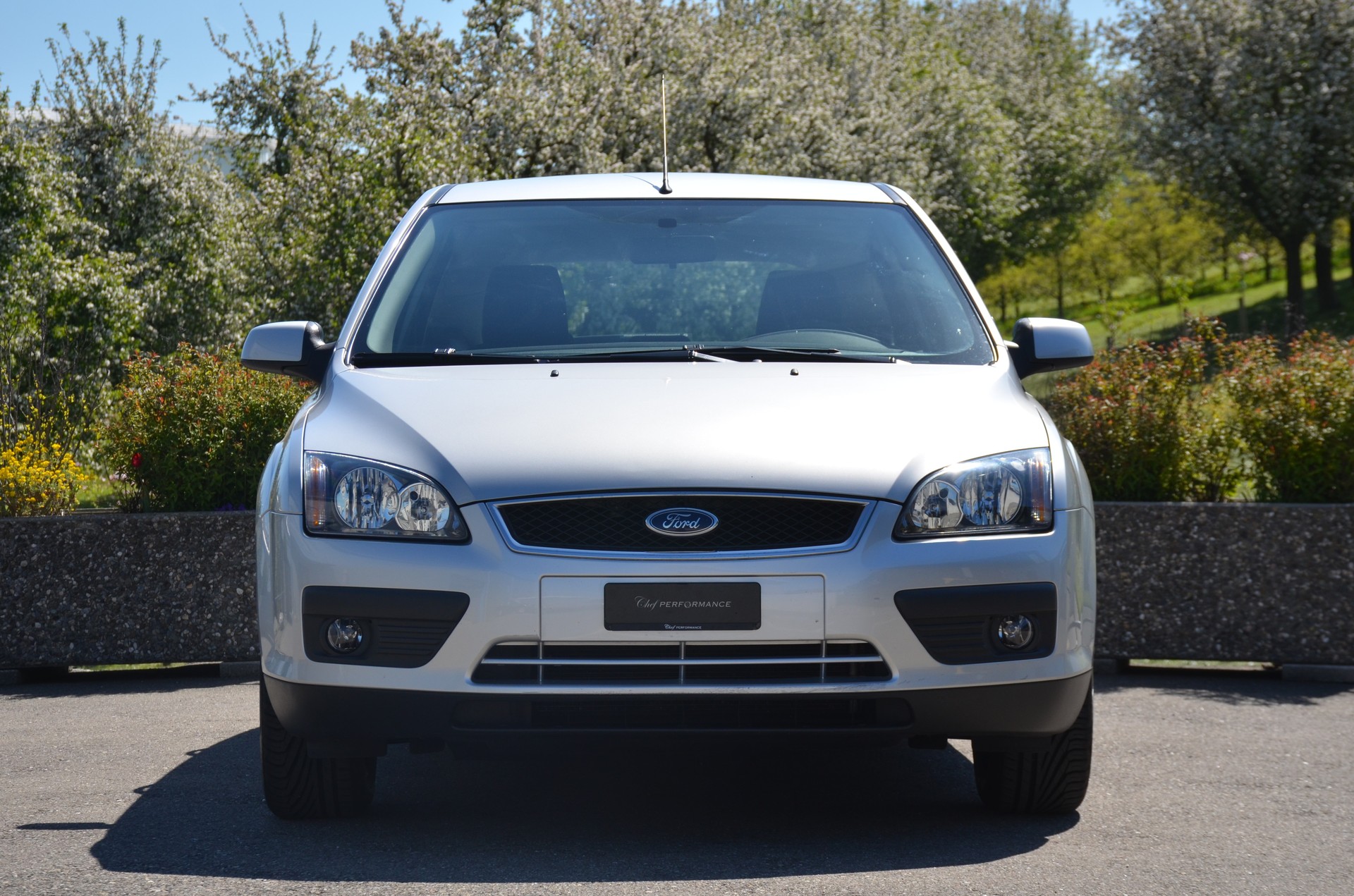 FORD FOCUS-image-1