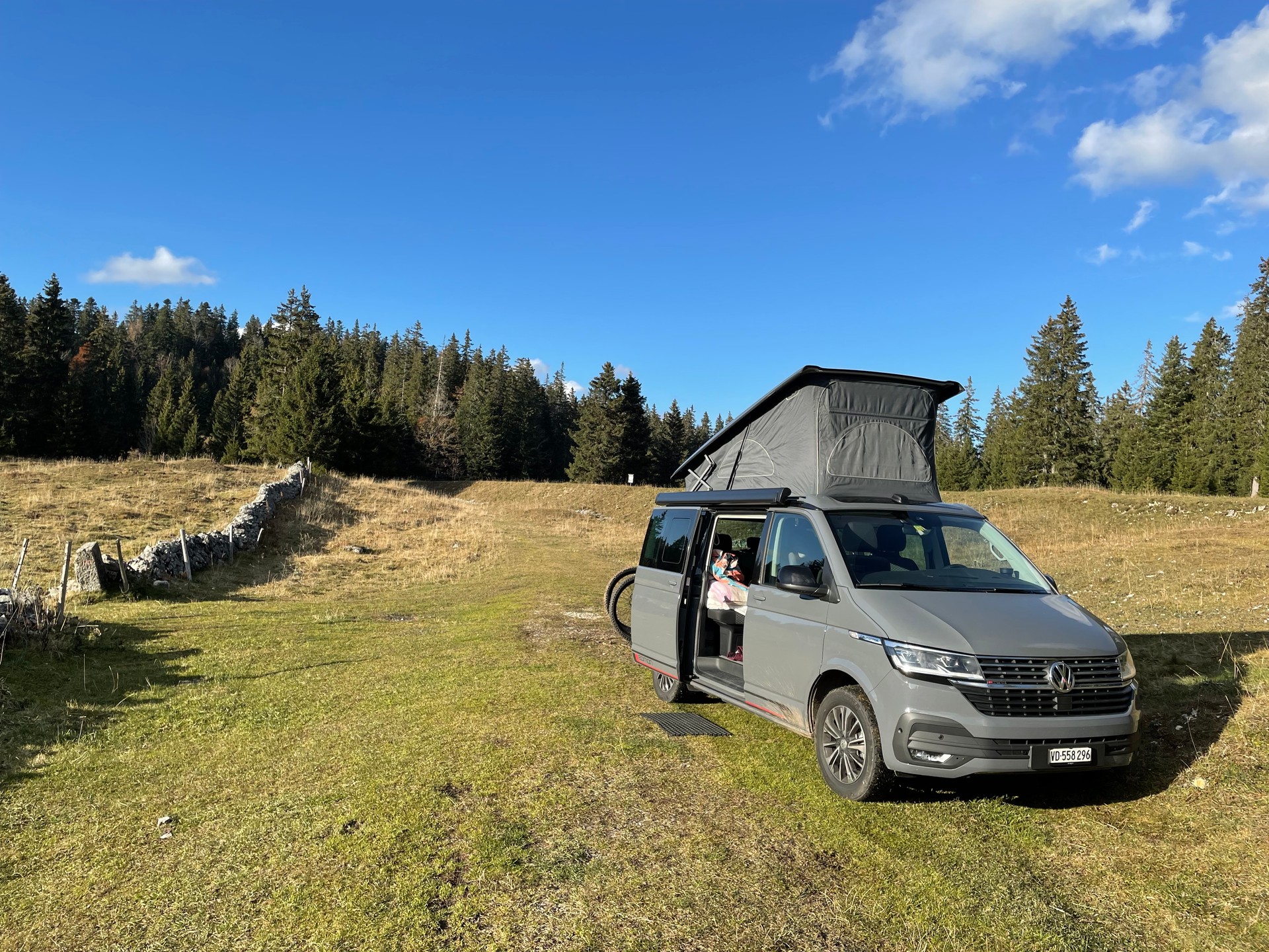 VW California T6.1 2.0 TDI 204 Beach Edition Spirit DSG 4MOTION-image-8