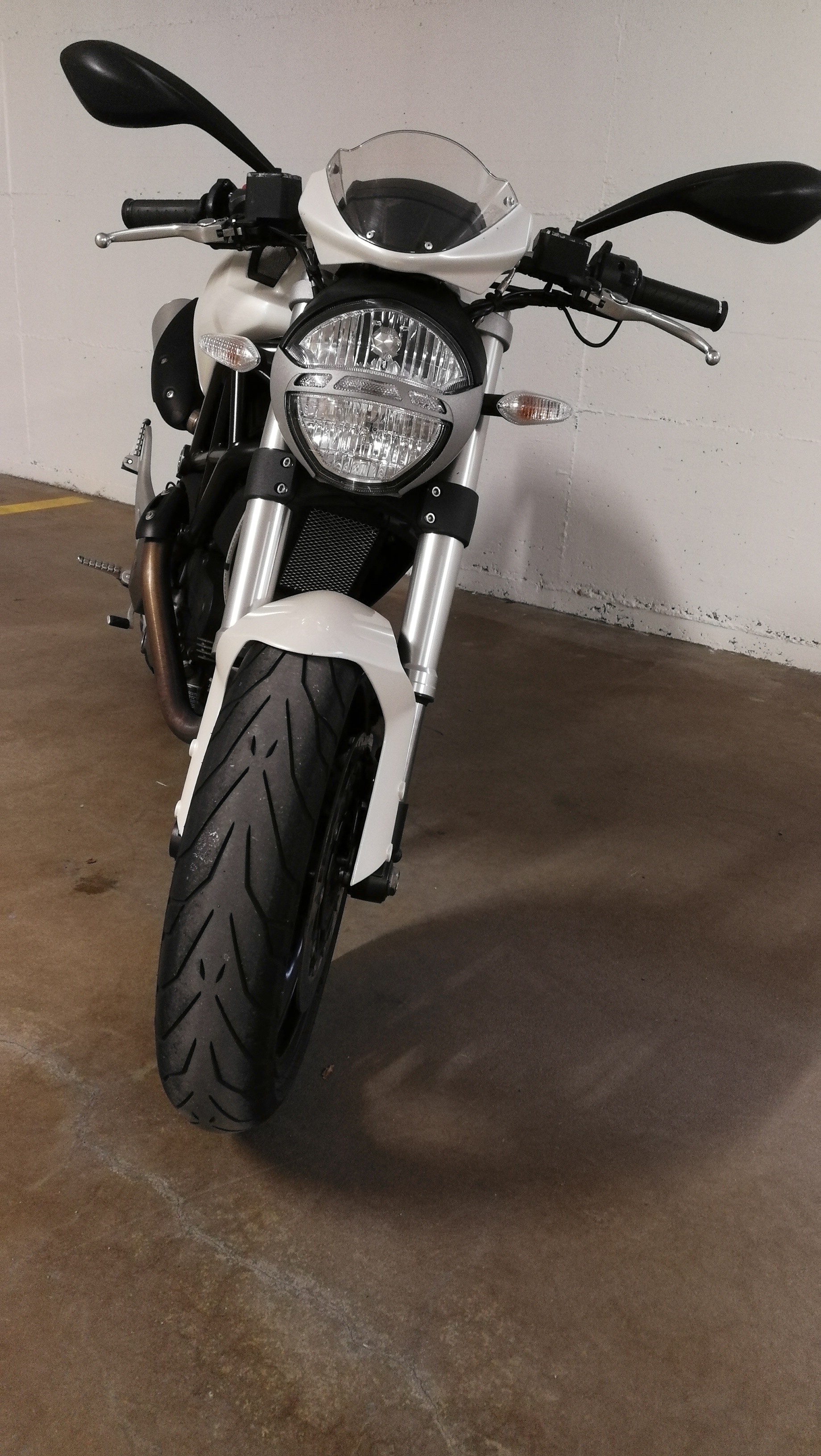 DUCATI Monster 696+ Weiss metallic-image-5