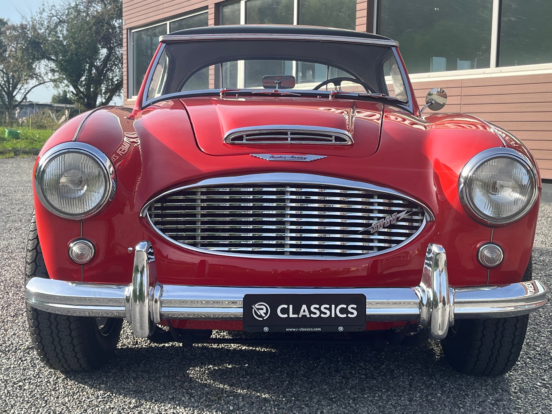 AUSTIN-HEALEY 3000 MKI BT7-image-17