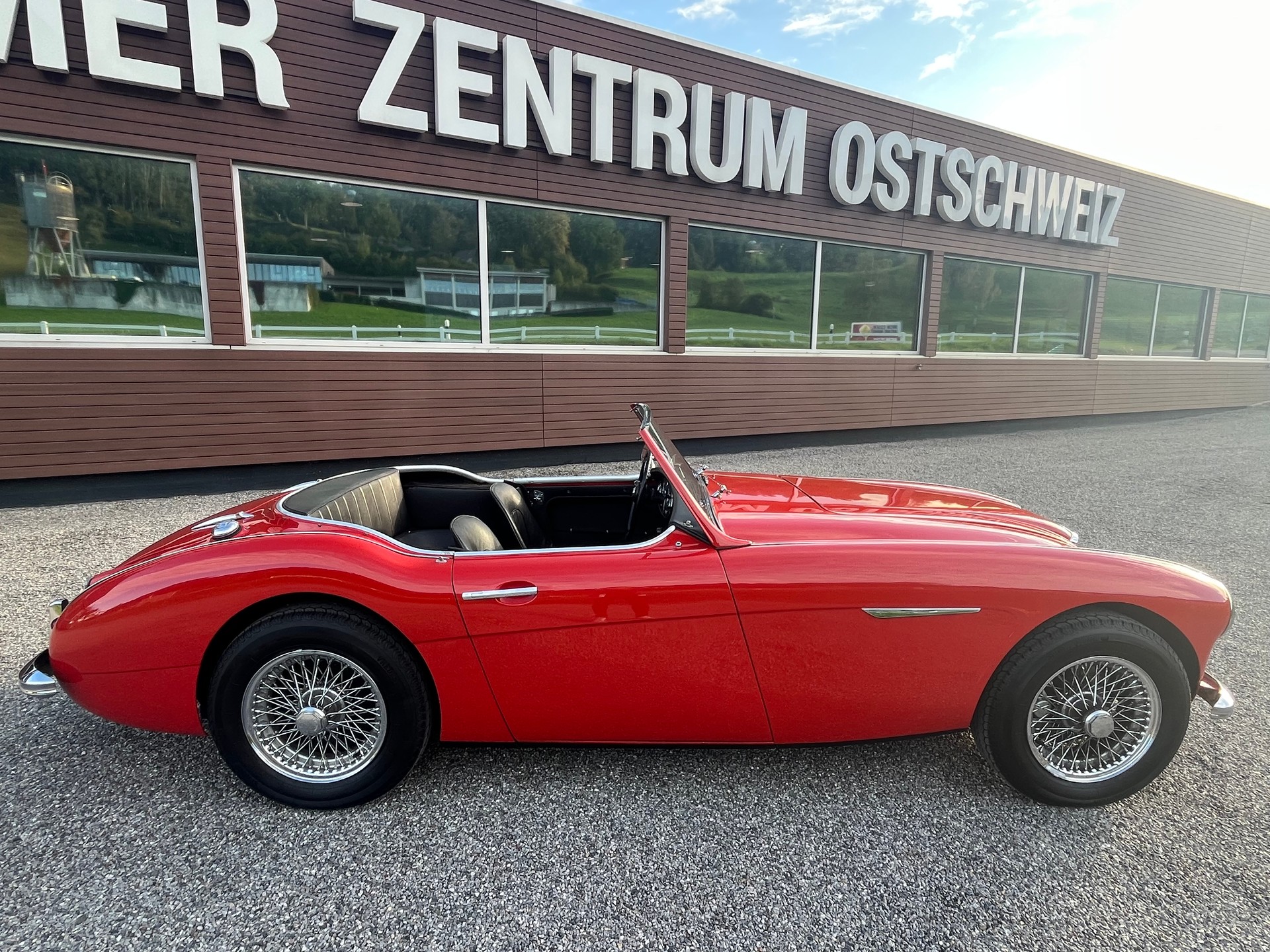 AUSTIN-HEALEY 3000 MKI BT7-image-4