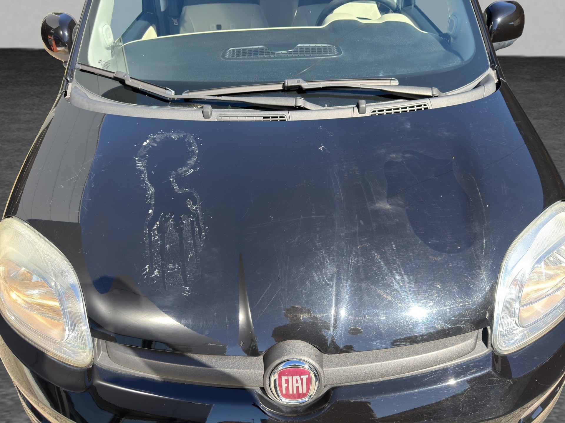 FIAT Panda 1.2 69 Easy-image-12