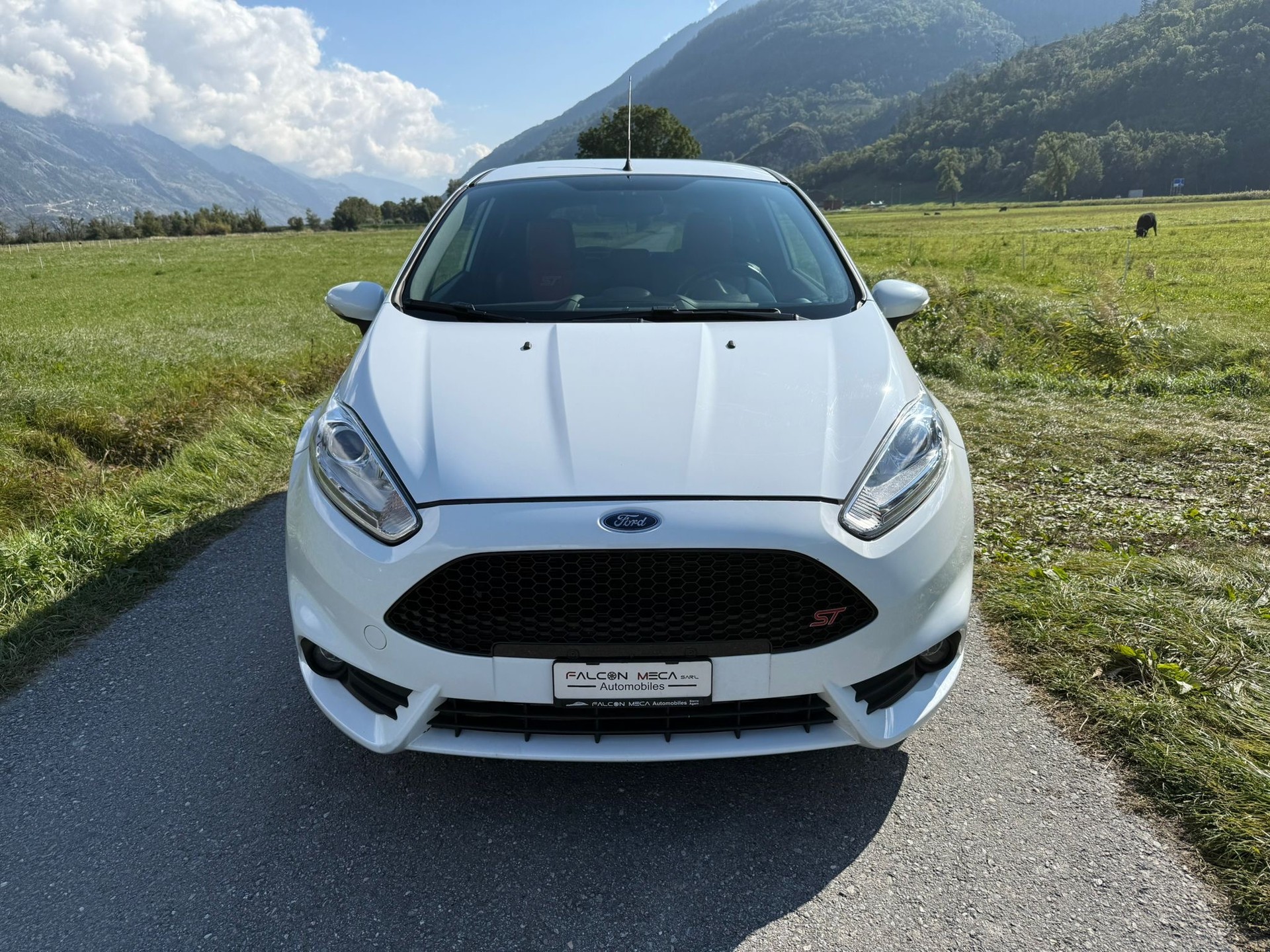 FORD Fiesta 1.6 SCTi ST-2-image-1