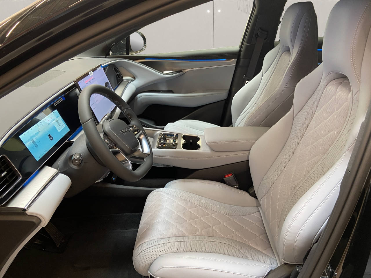 BYD Sealion 7 Excellence AWD-image-4