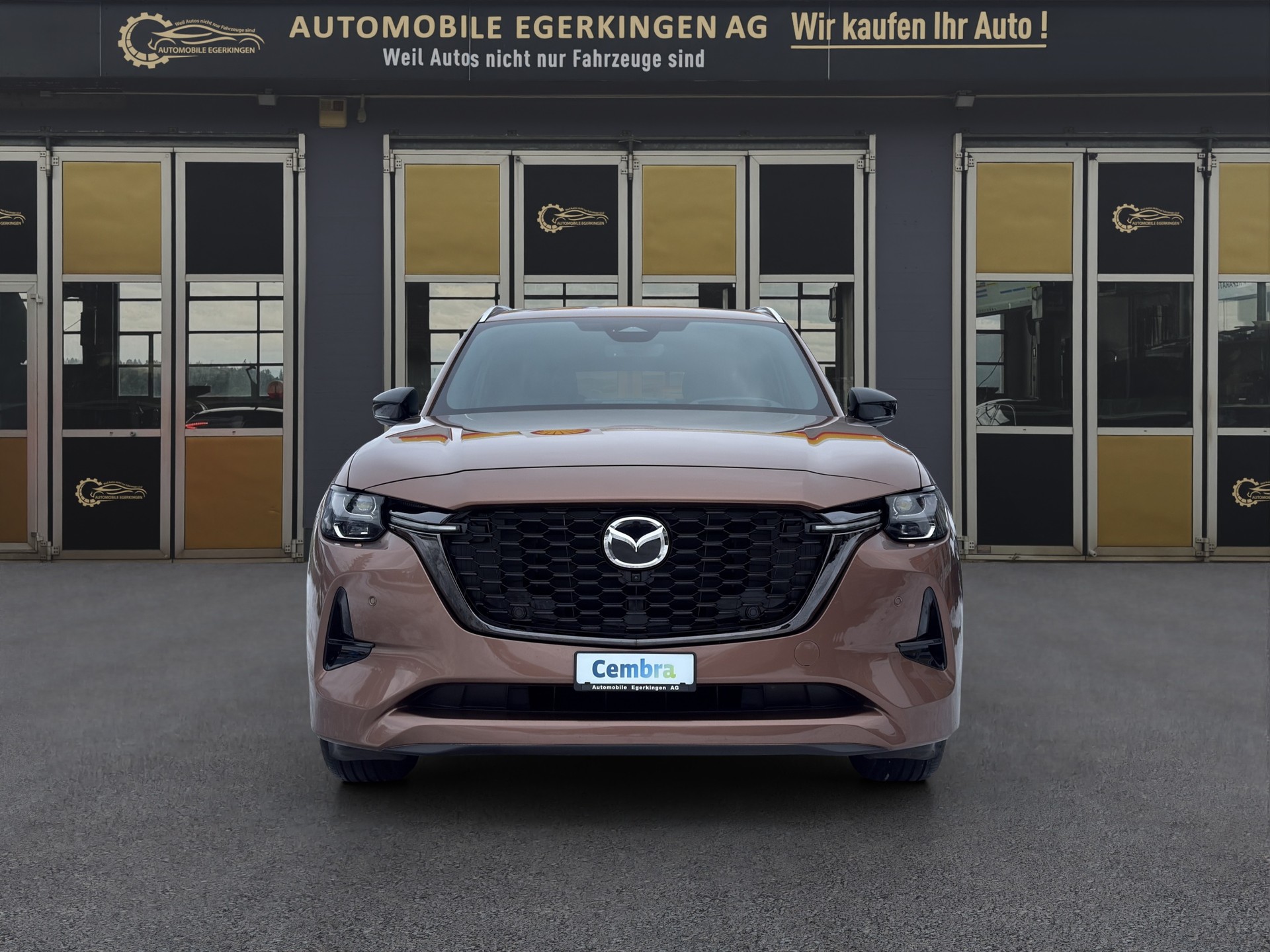 MAZDA CX-80 3.3 D Homura Plus-showroom-element-1